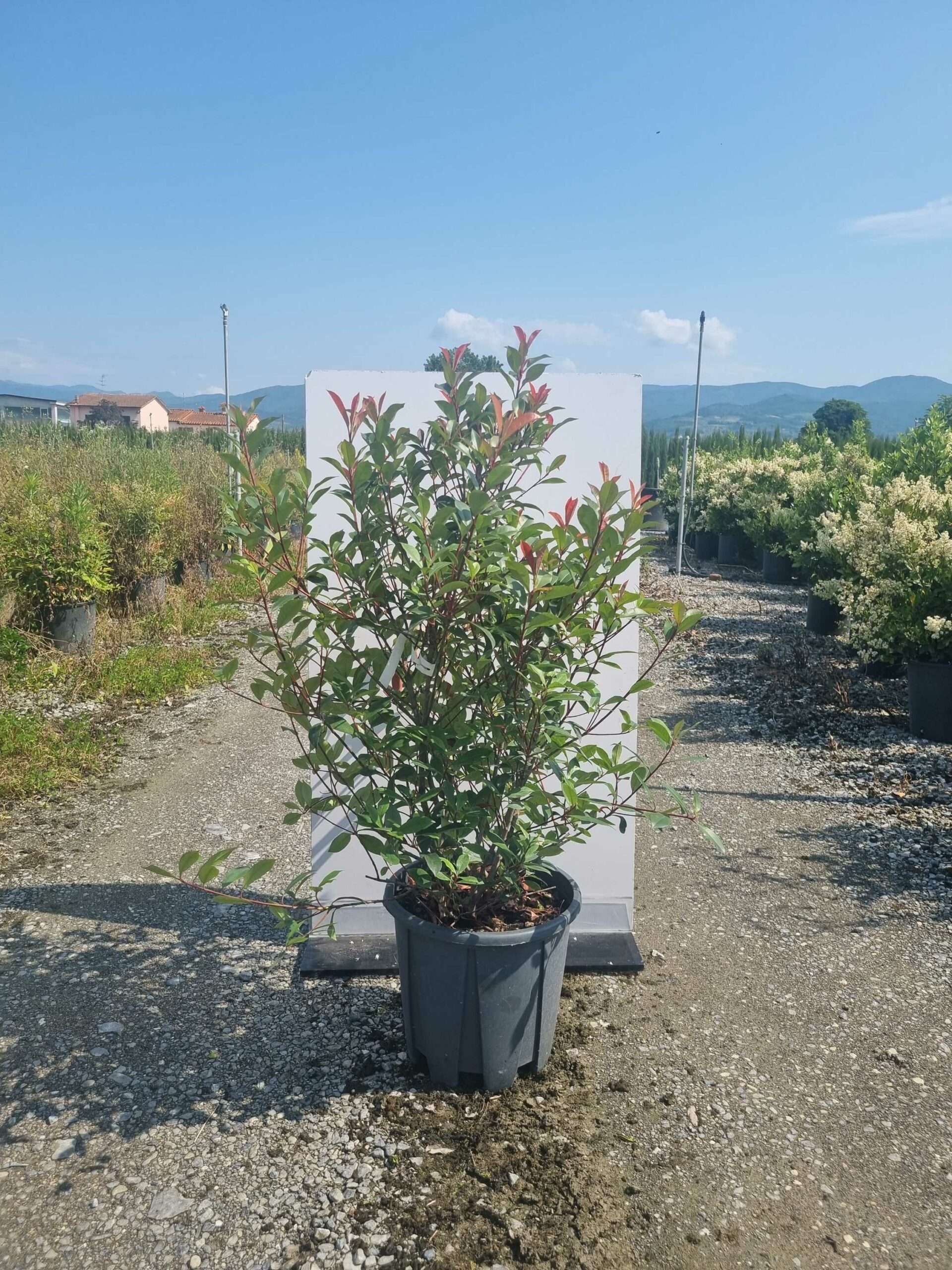 1685606767 scaled 220cab2d