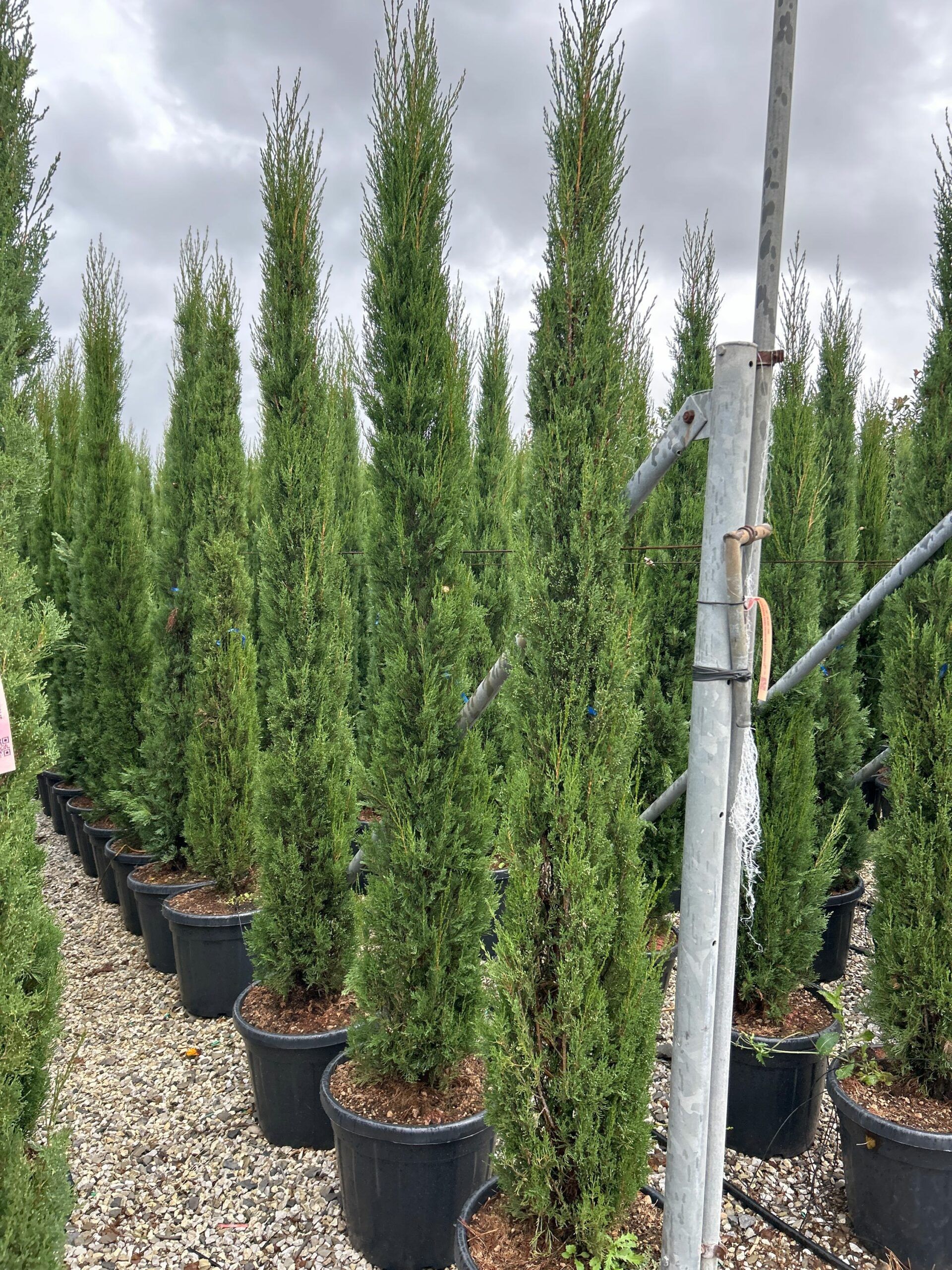 1698159414 scaled 229151a6