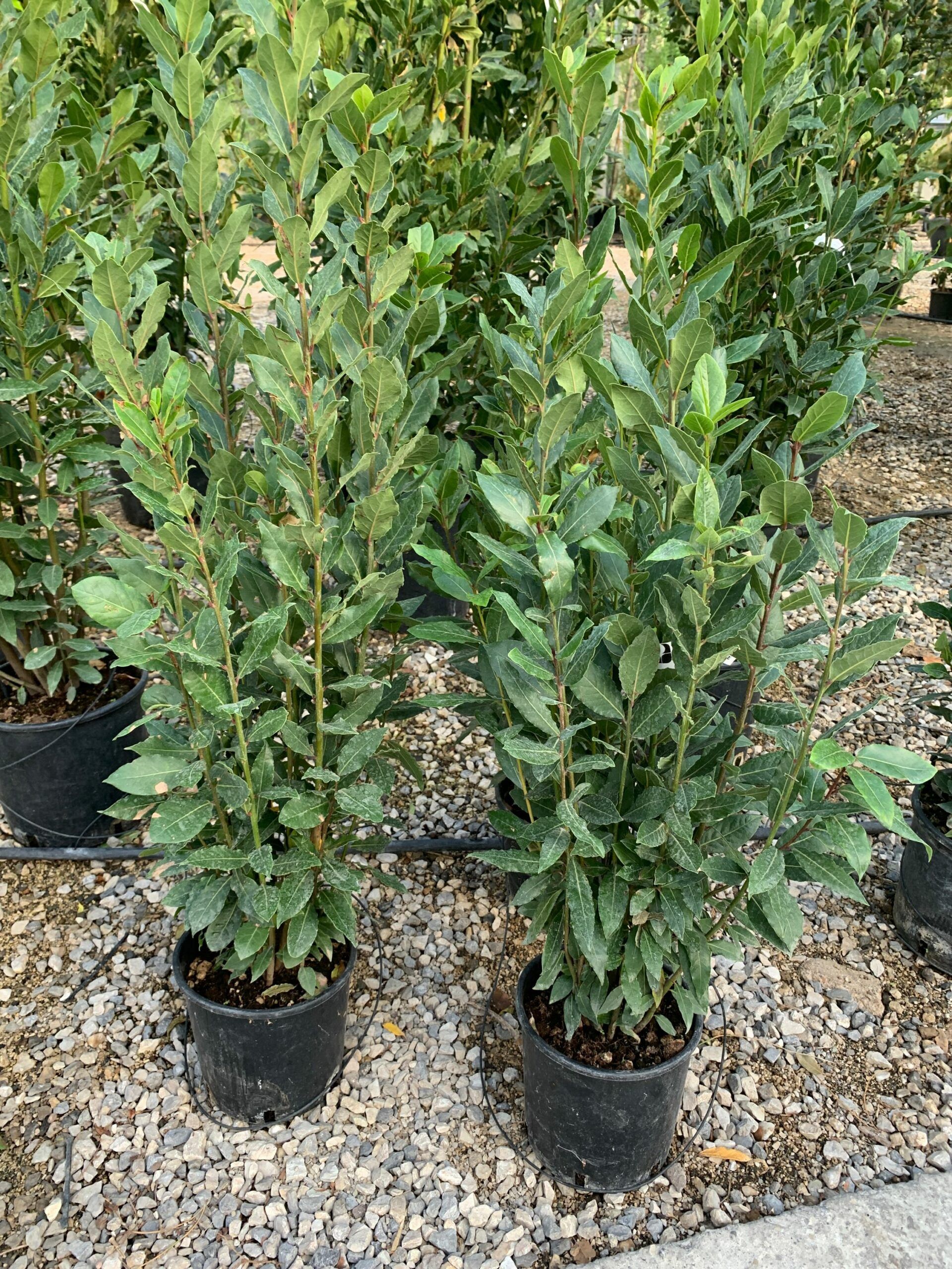 1633446218 scaled 23b9bdcf