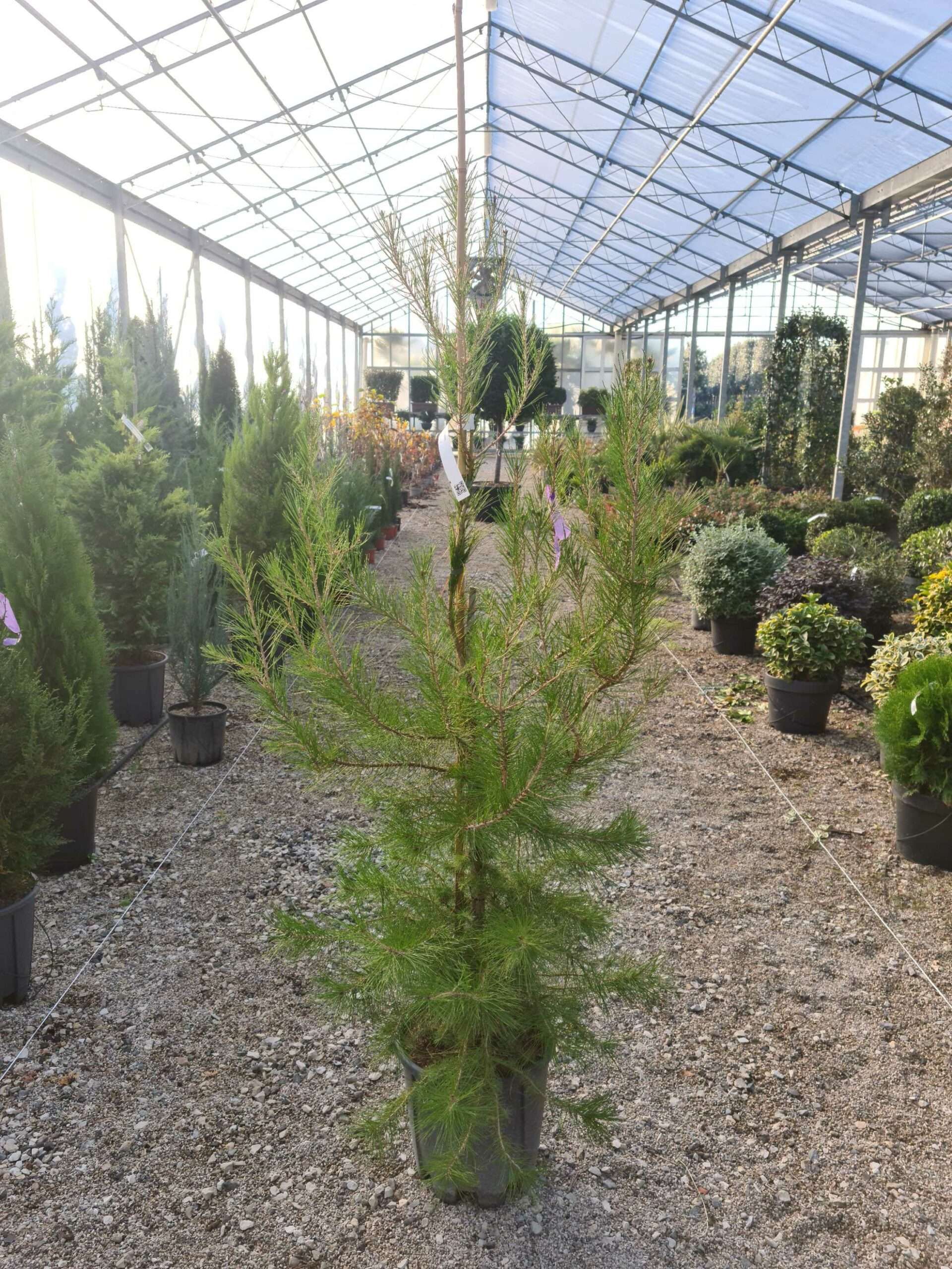 1639473031 scaled 2354ad11