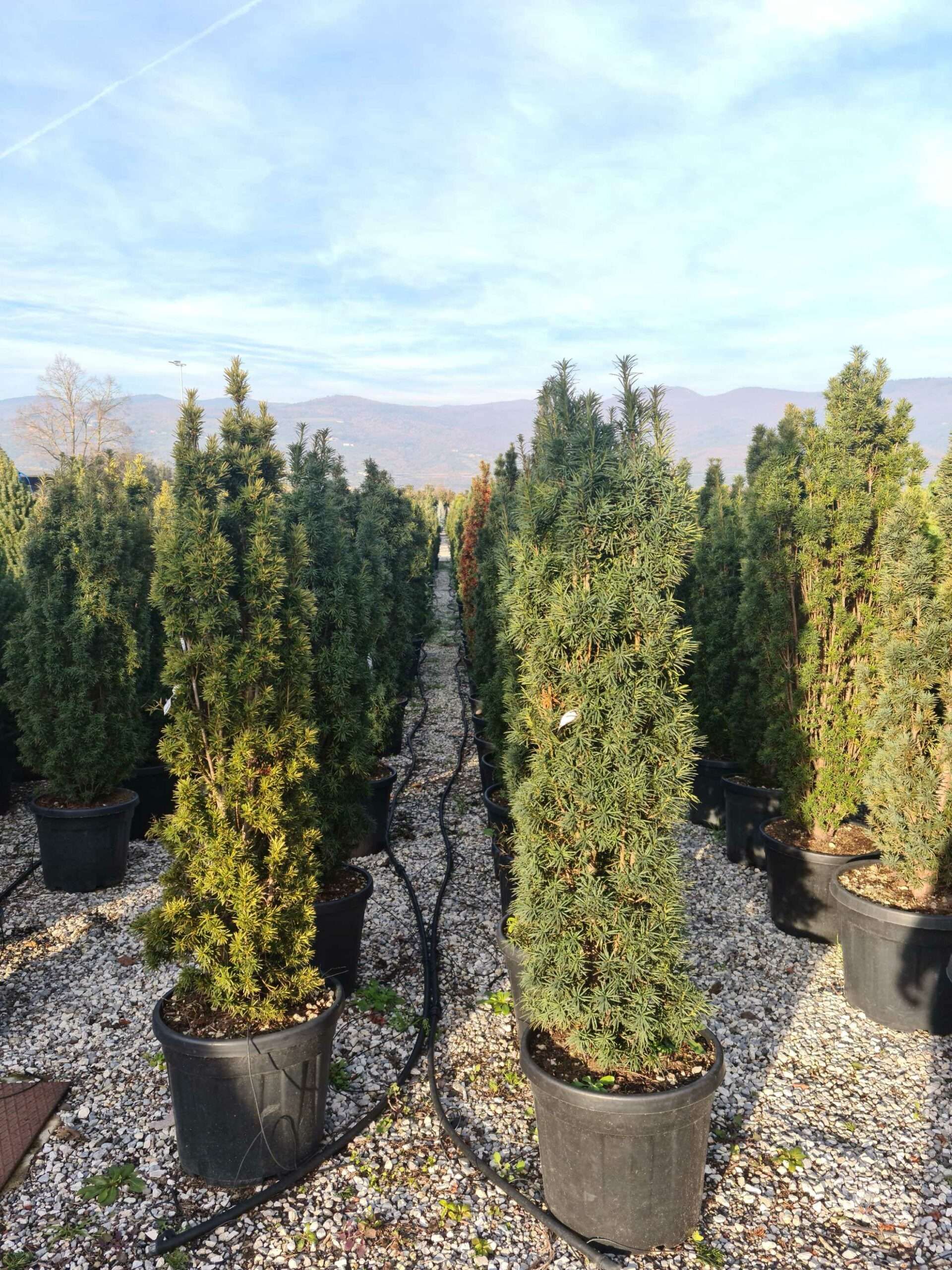 1639490357 scaled 235a7580