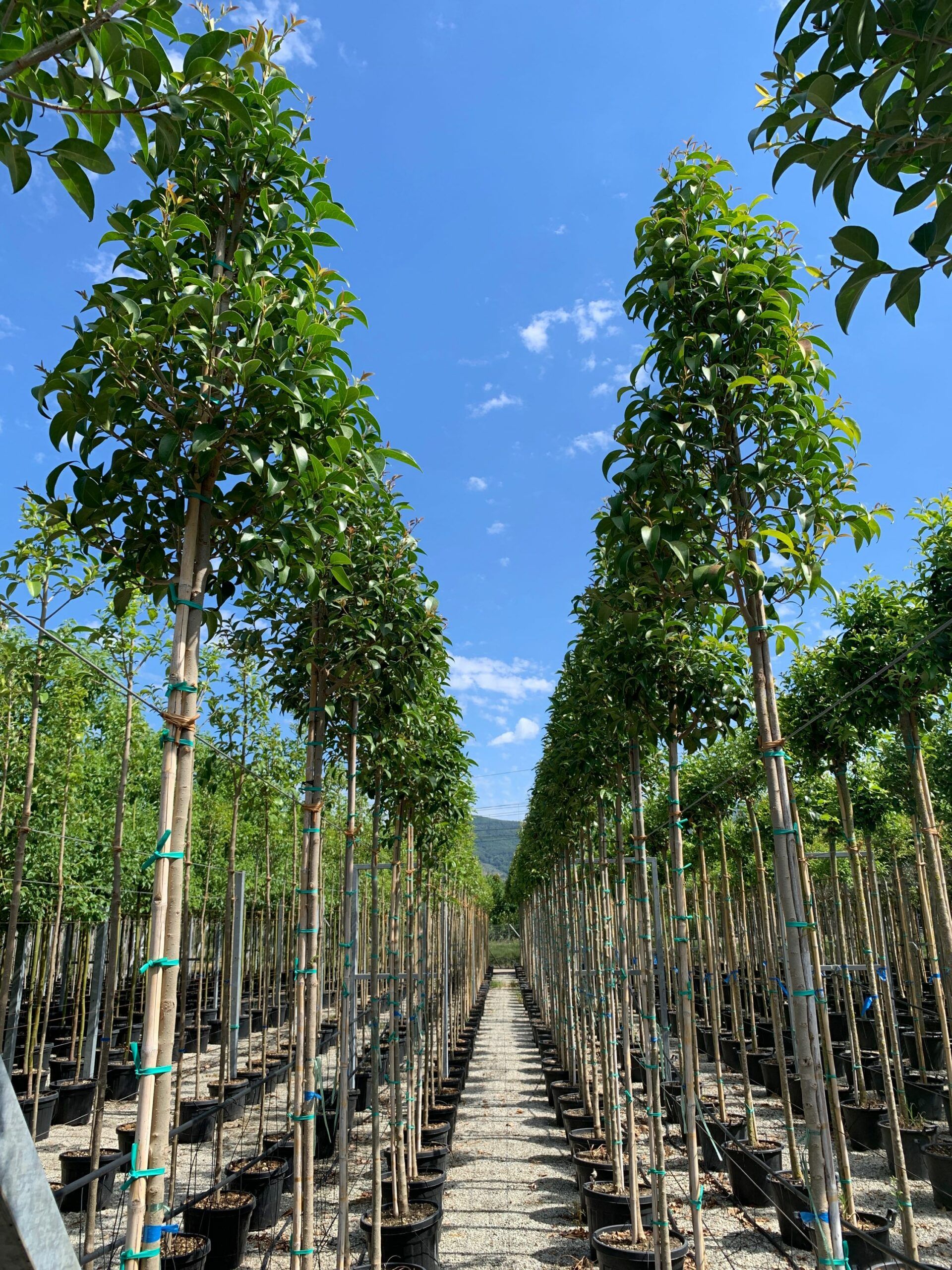 1657528438 scaled 2390dece