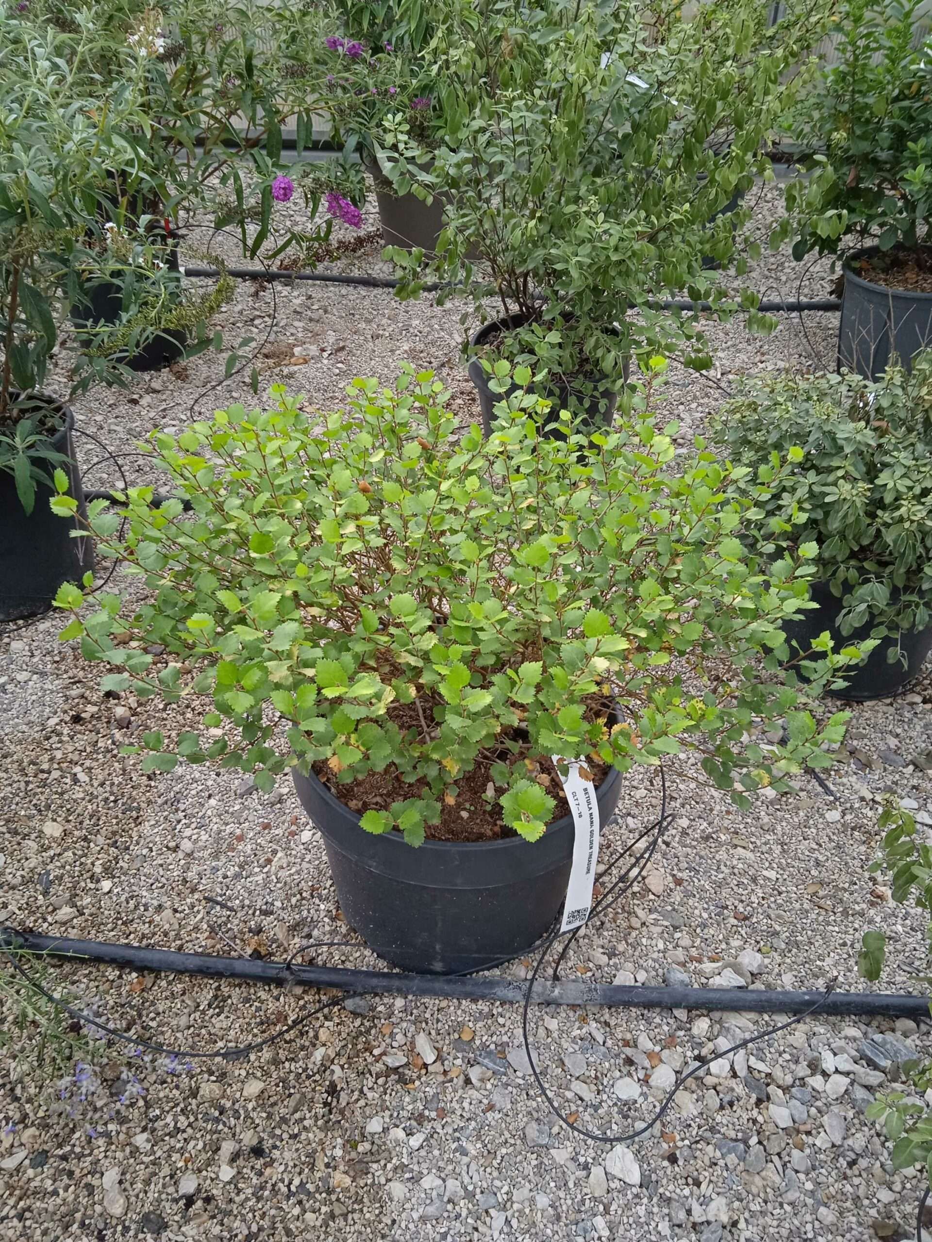 1662189190 scaled 23601a9b