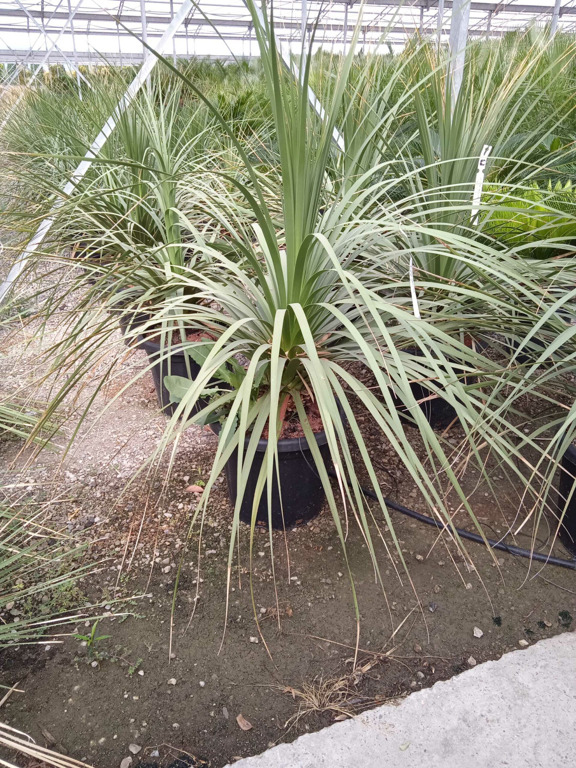 1662366975 scaled 2368c33c