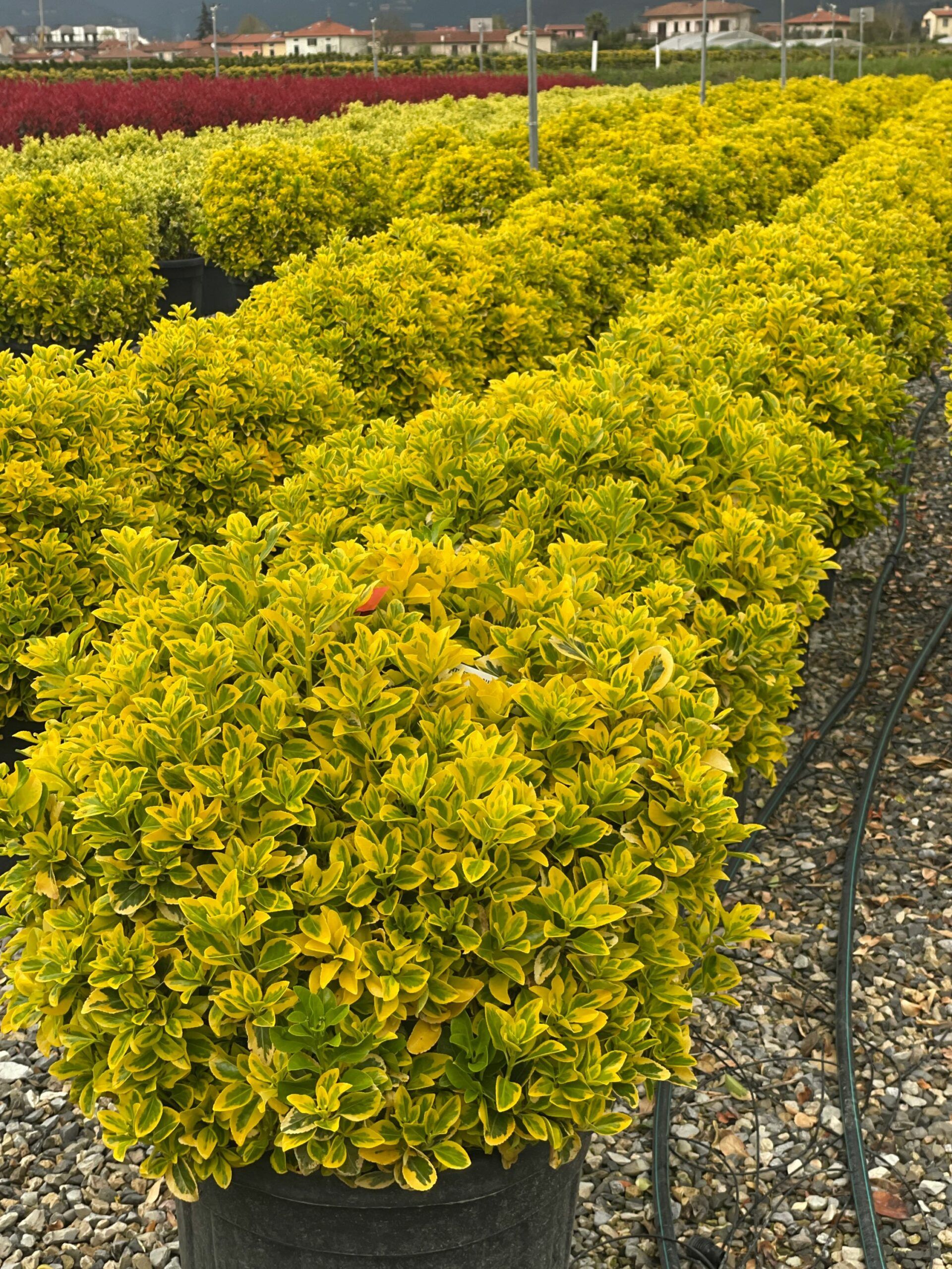 1680280087 scaled 2338b0bb