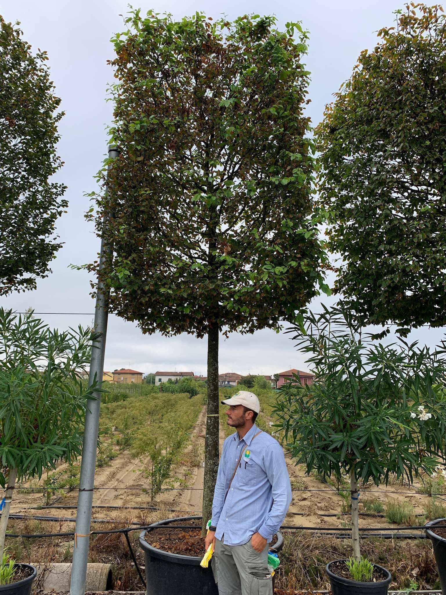 1610984051 13814BBD 26B8 4CCC 830C 8FC4C3DE9137 24faa812