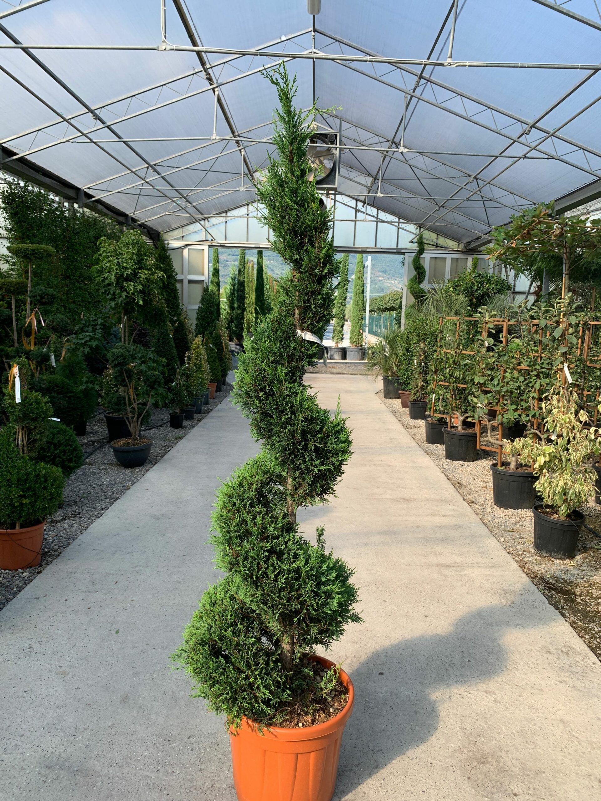 1632837047 scaled 24439298