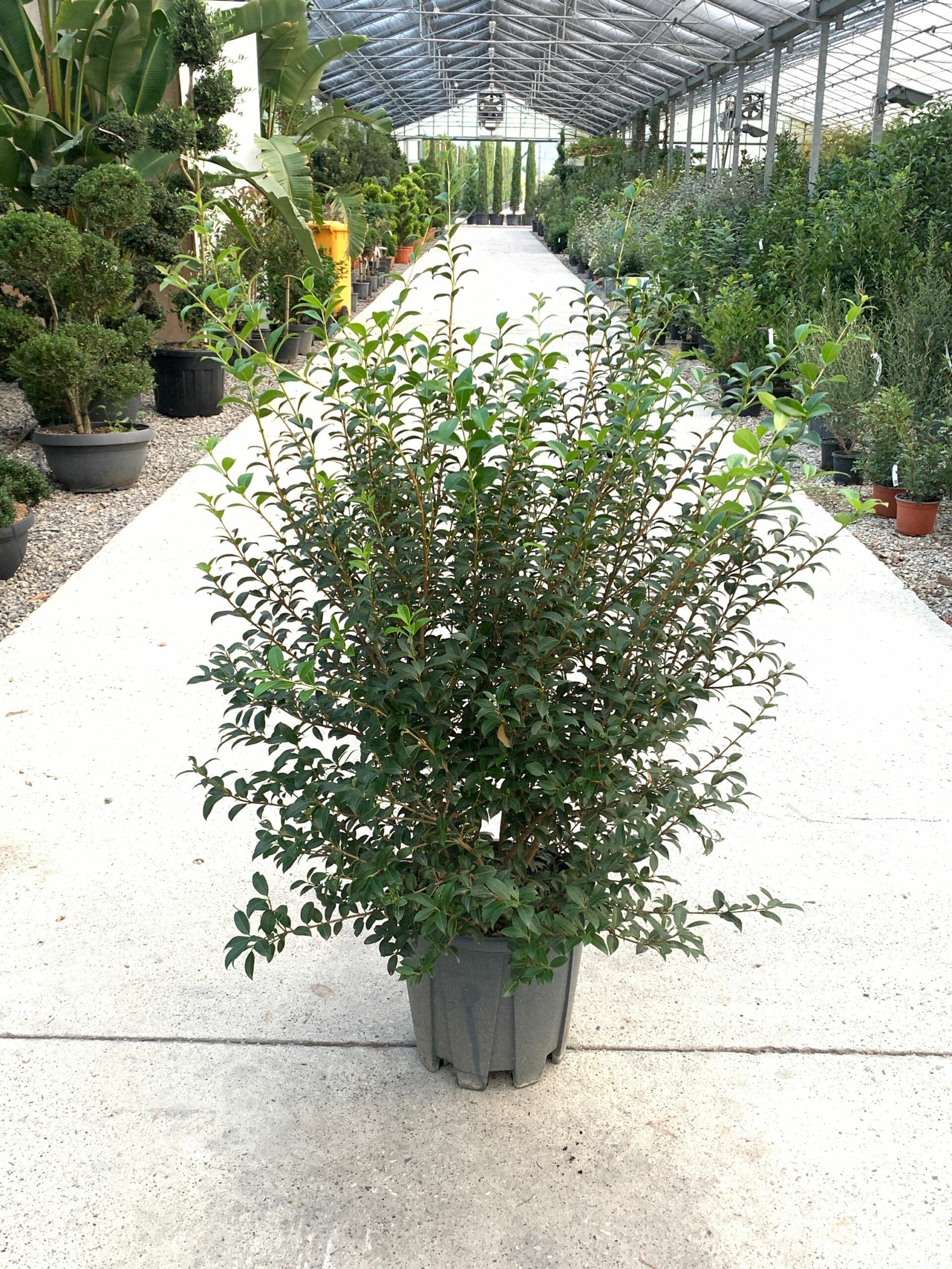 1635229197 scaled 24c8b25f