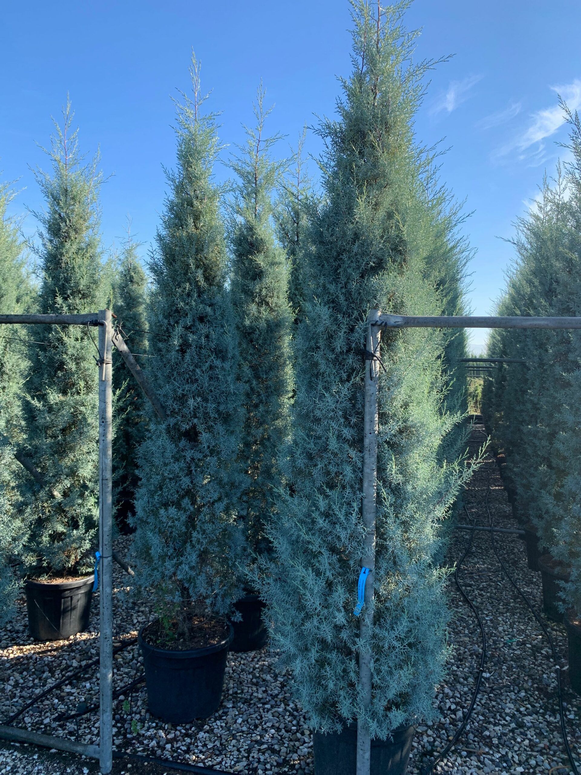 1637313845 scaled 24bd25ae