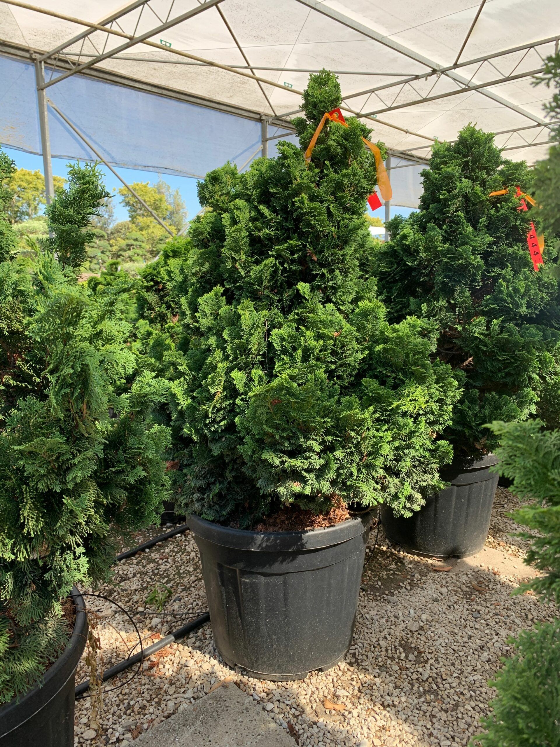 1657525807 scaled 240b7904