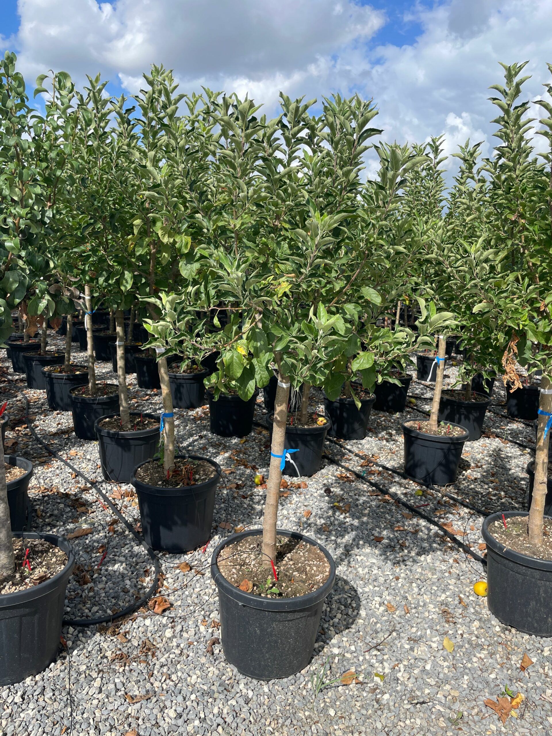 1662714305 scaled 2495fac4