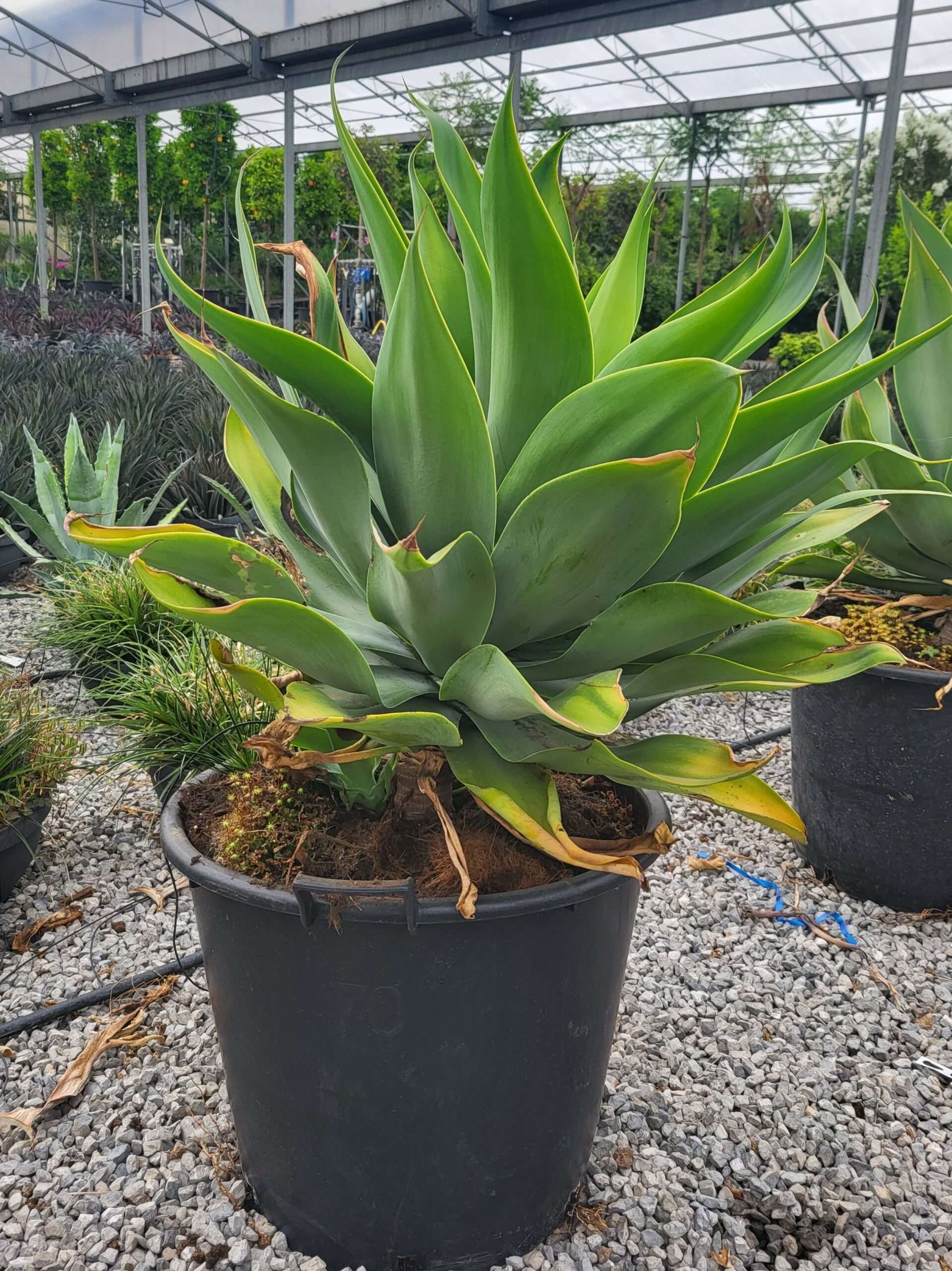 1683731839 scaled 2448d27f