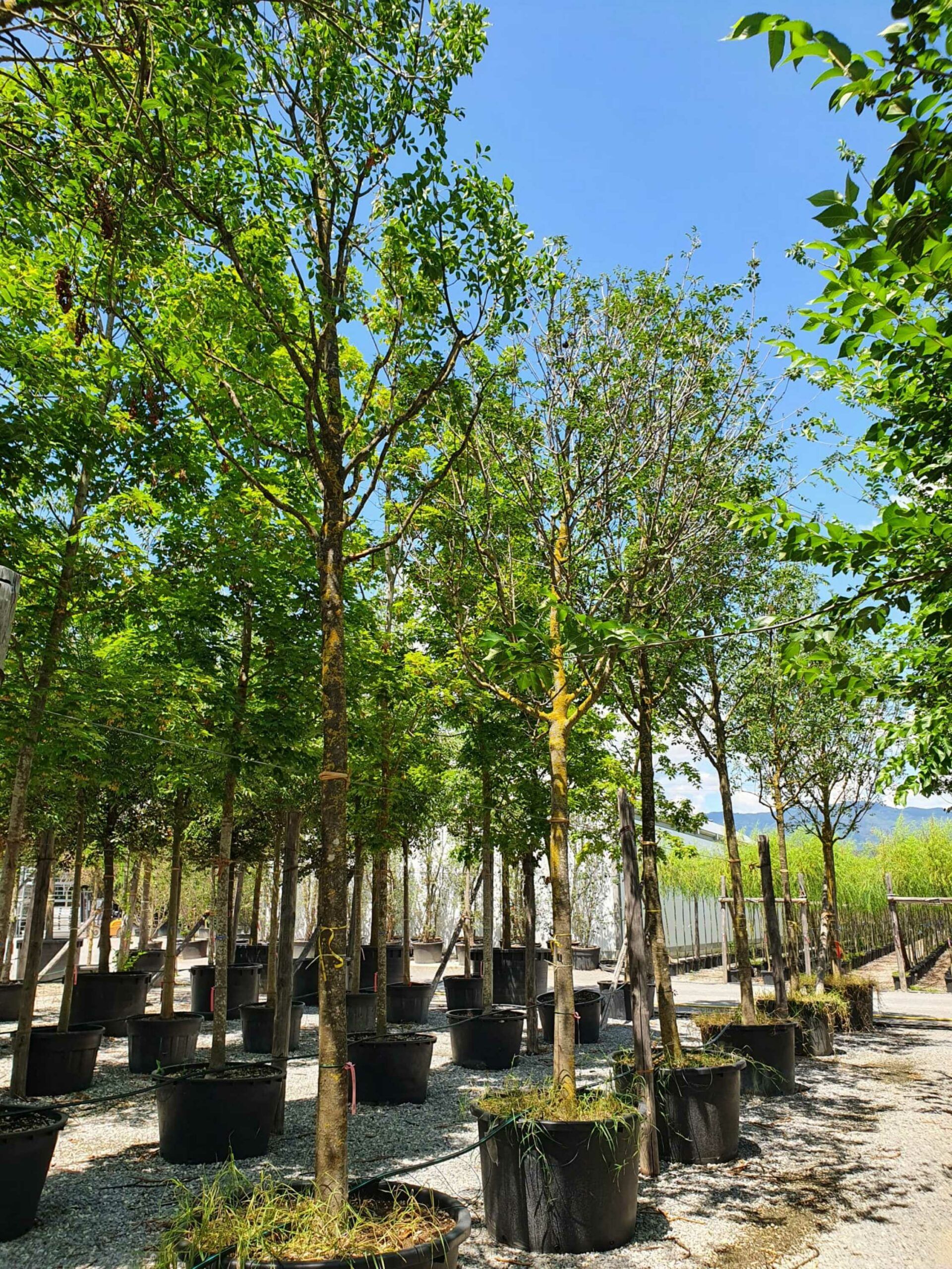 1689261237 scaled 241a859a