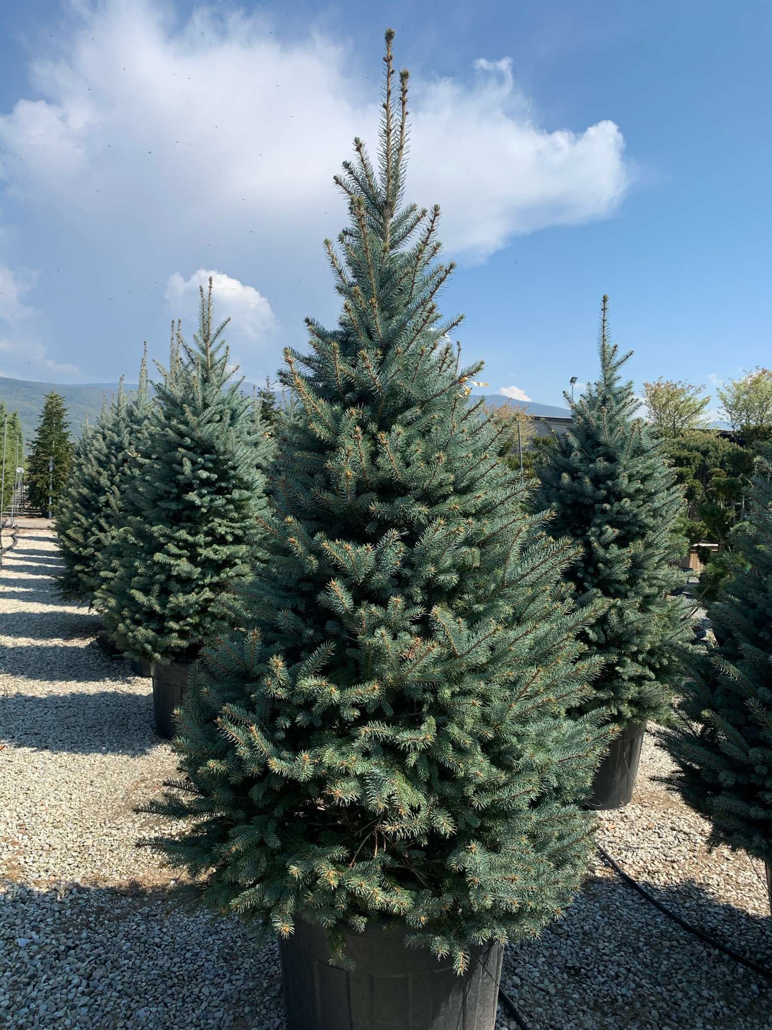 1618930616 01180a72524a7ce513d95320ac8314b0095b1a72b9 257cf913