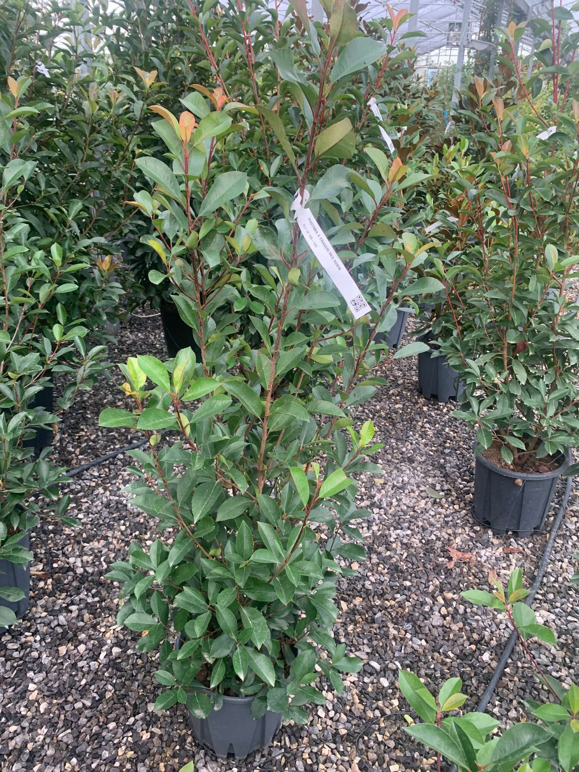 1633342829 scaled 25b5d532