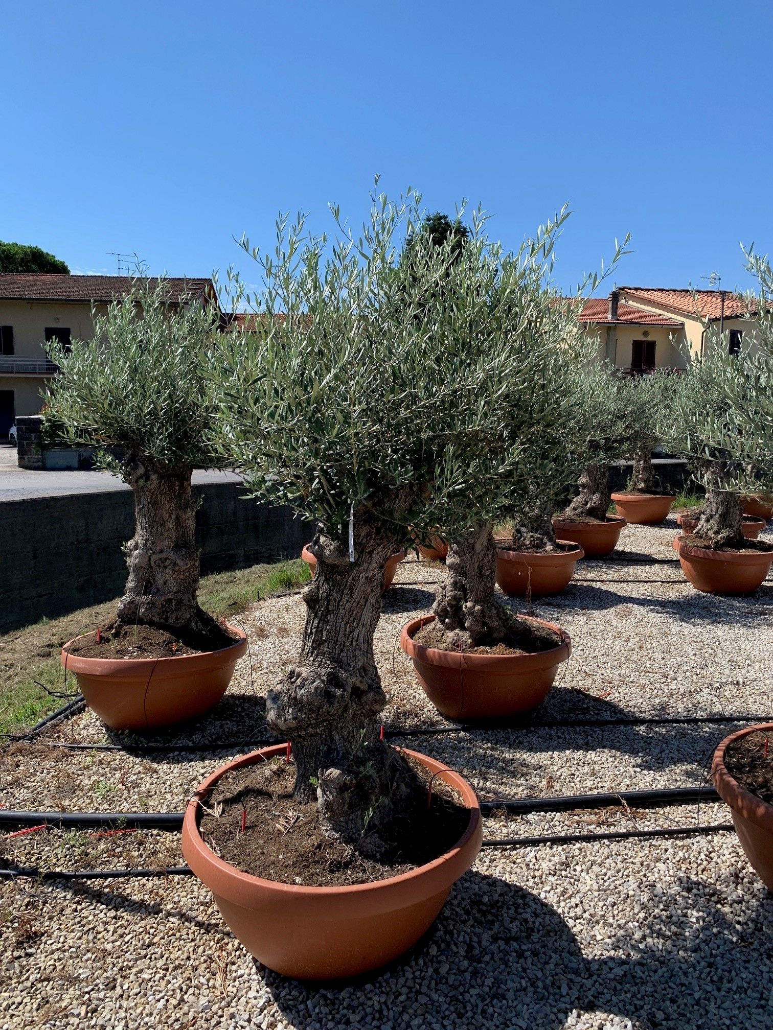 1633941659 SHGSF 256a81b7