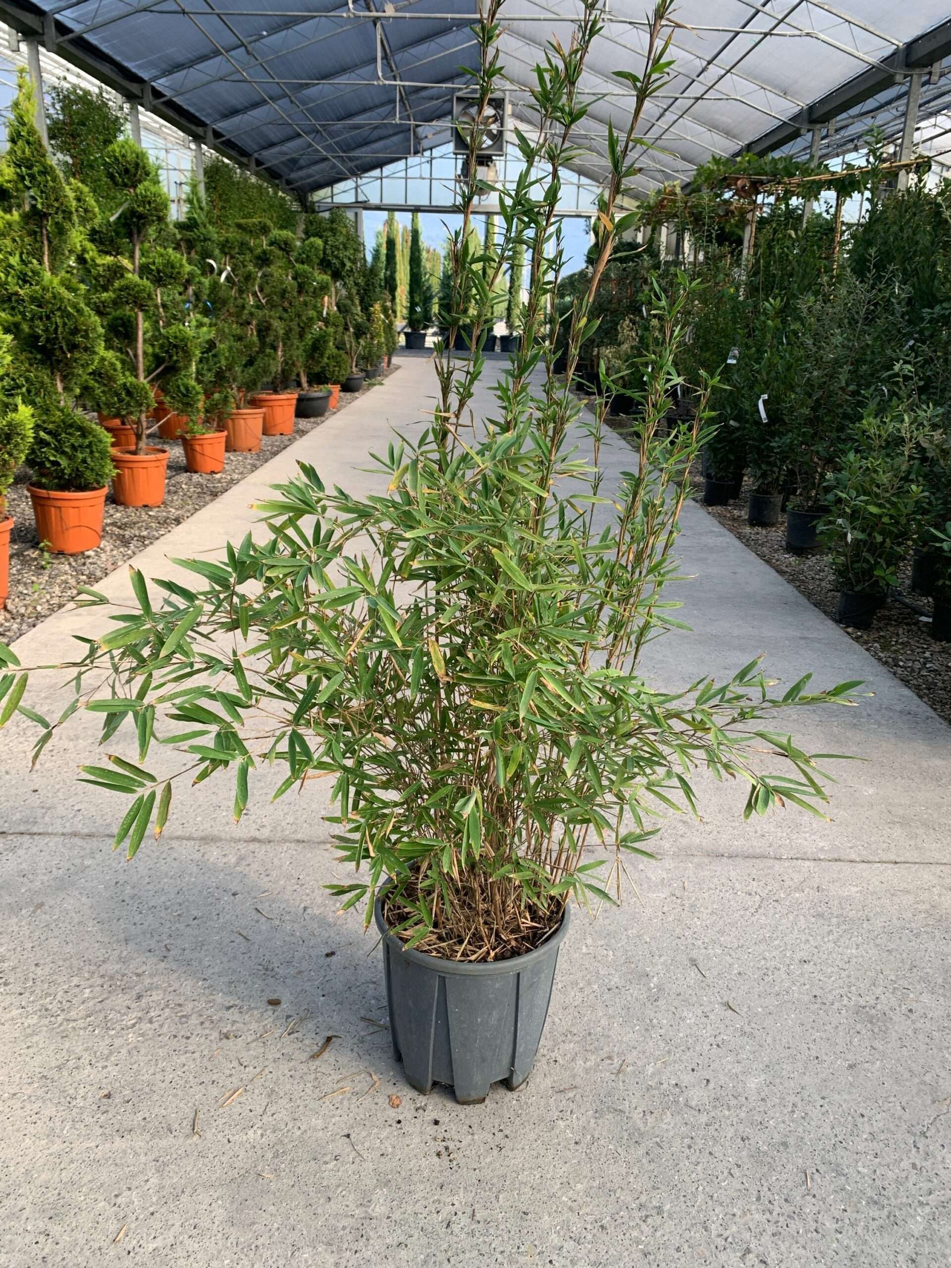 1634976095 scaled 25b6022d