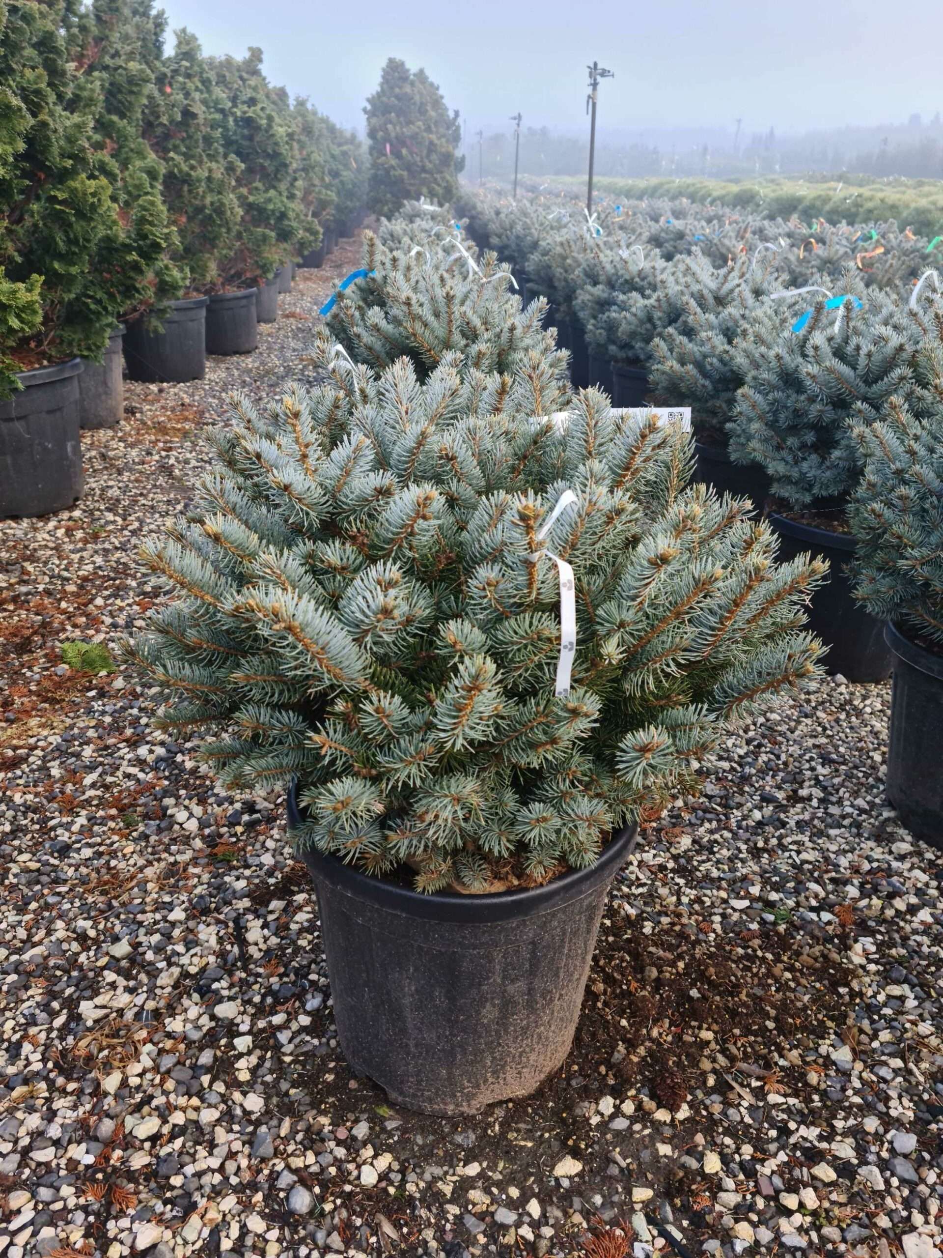 1642752135 scaled 25b2c27b