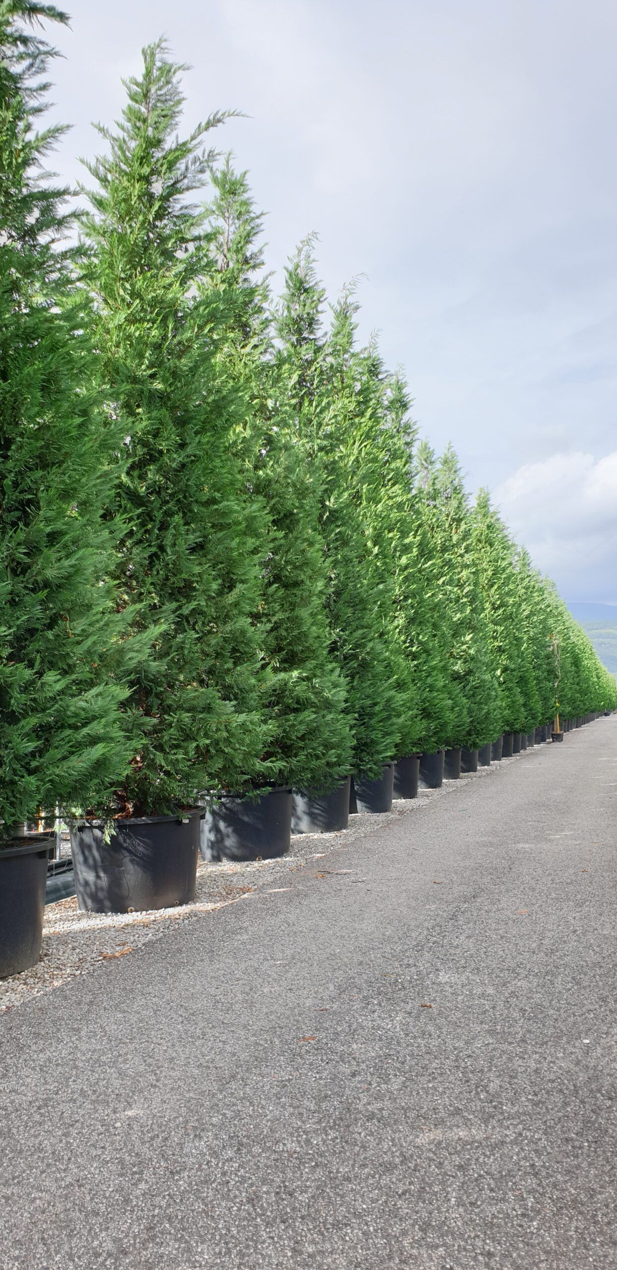 1646467181 scaled 2579afd6