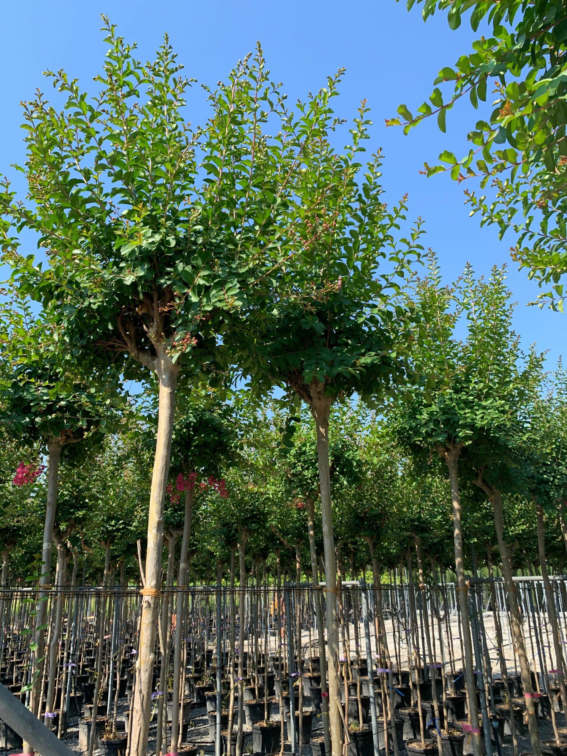 1658130607 scaled 256e6cd7