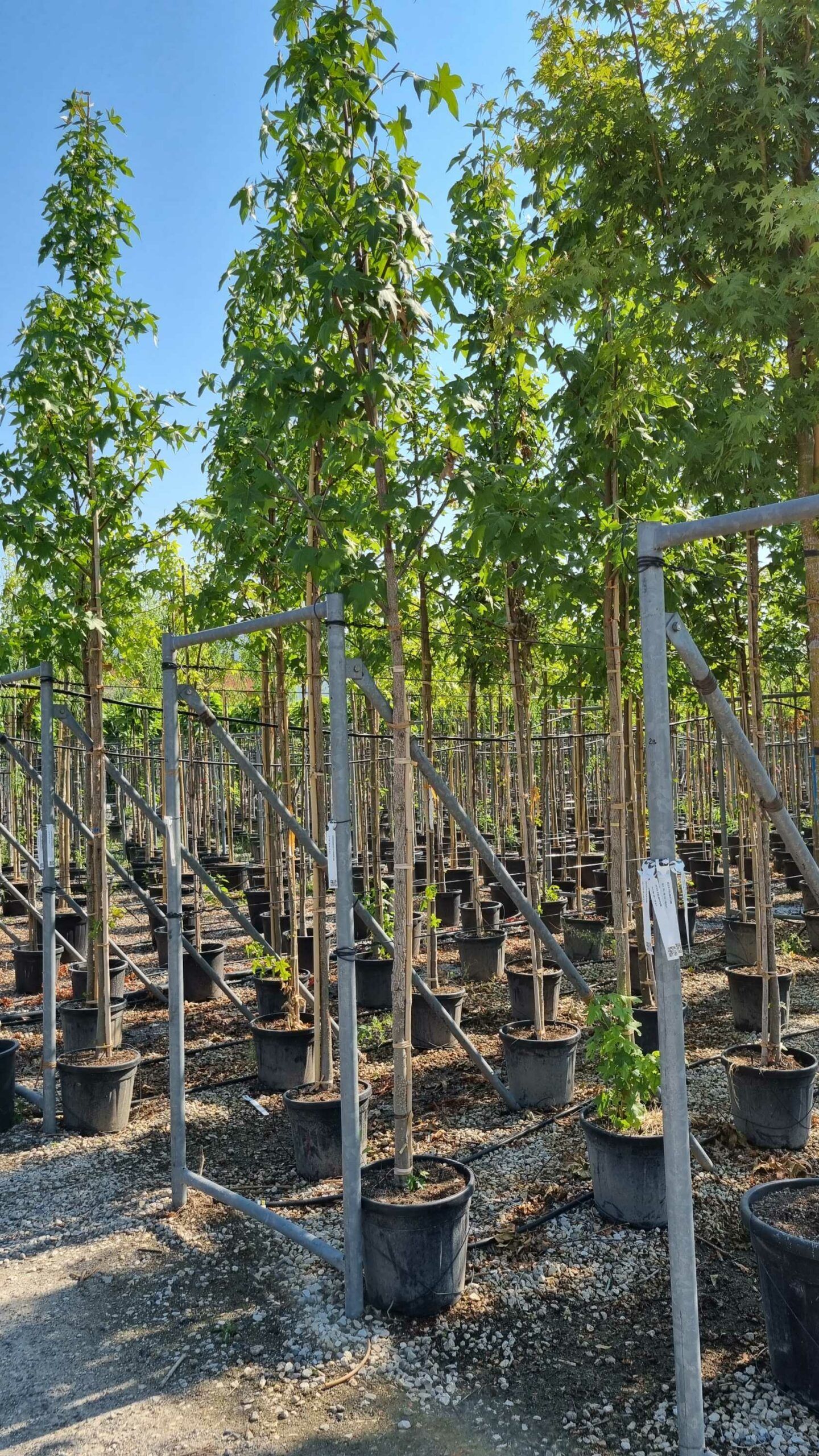 1658130673 scaled 25f93c6f