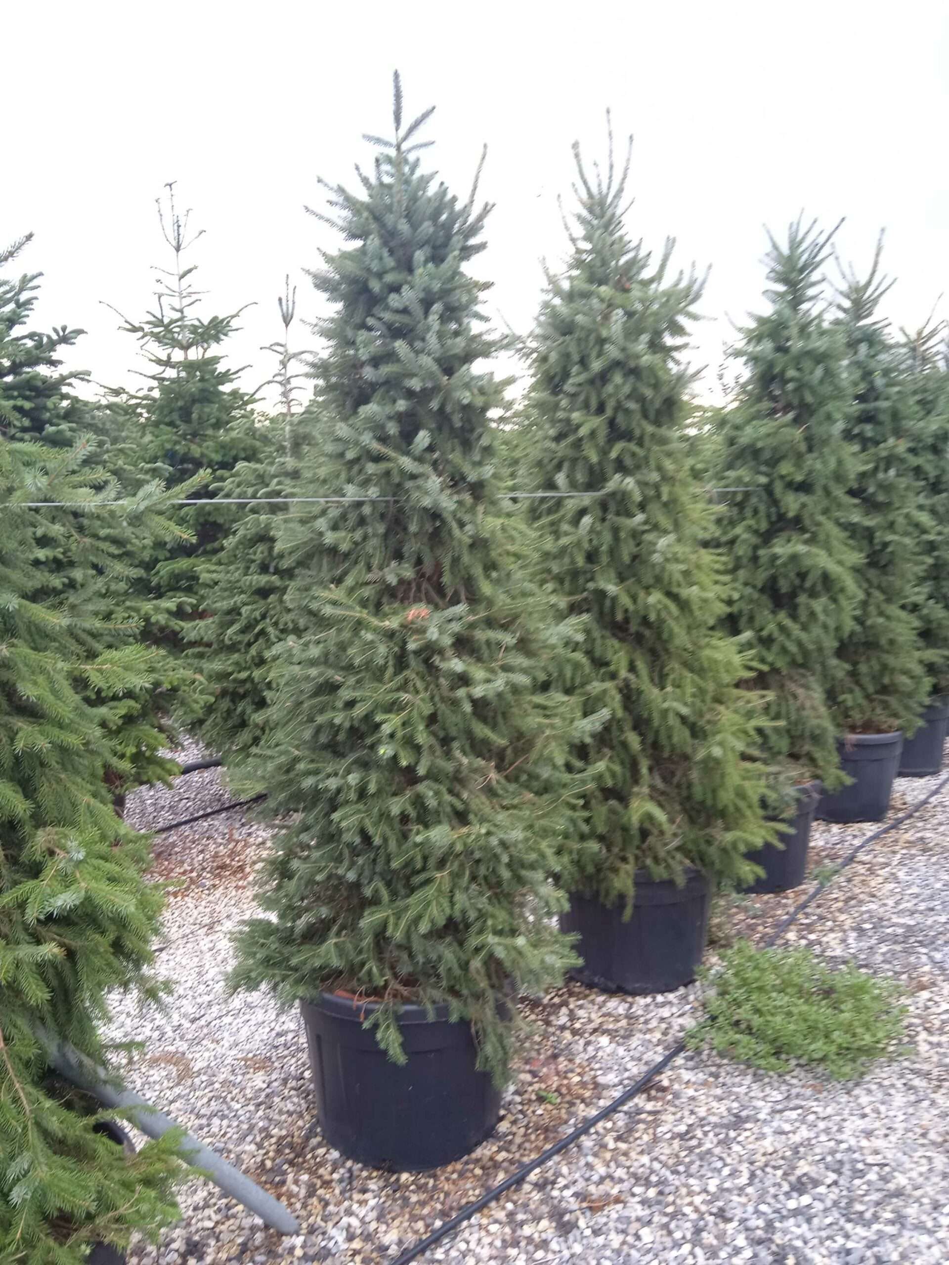 1662185482 scaled 2512533f