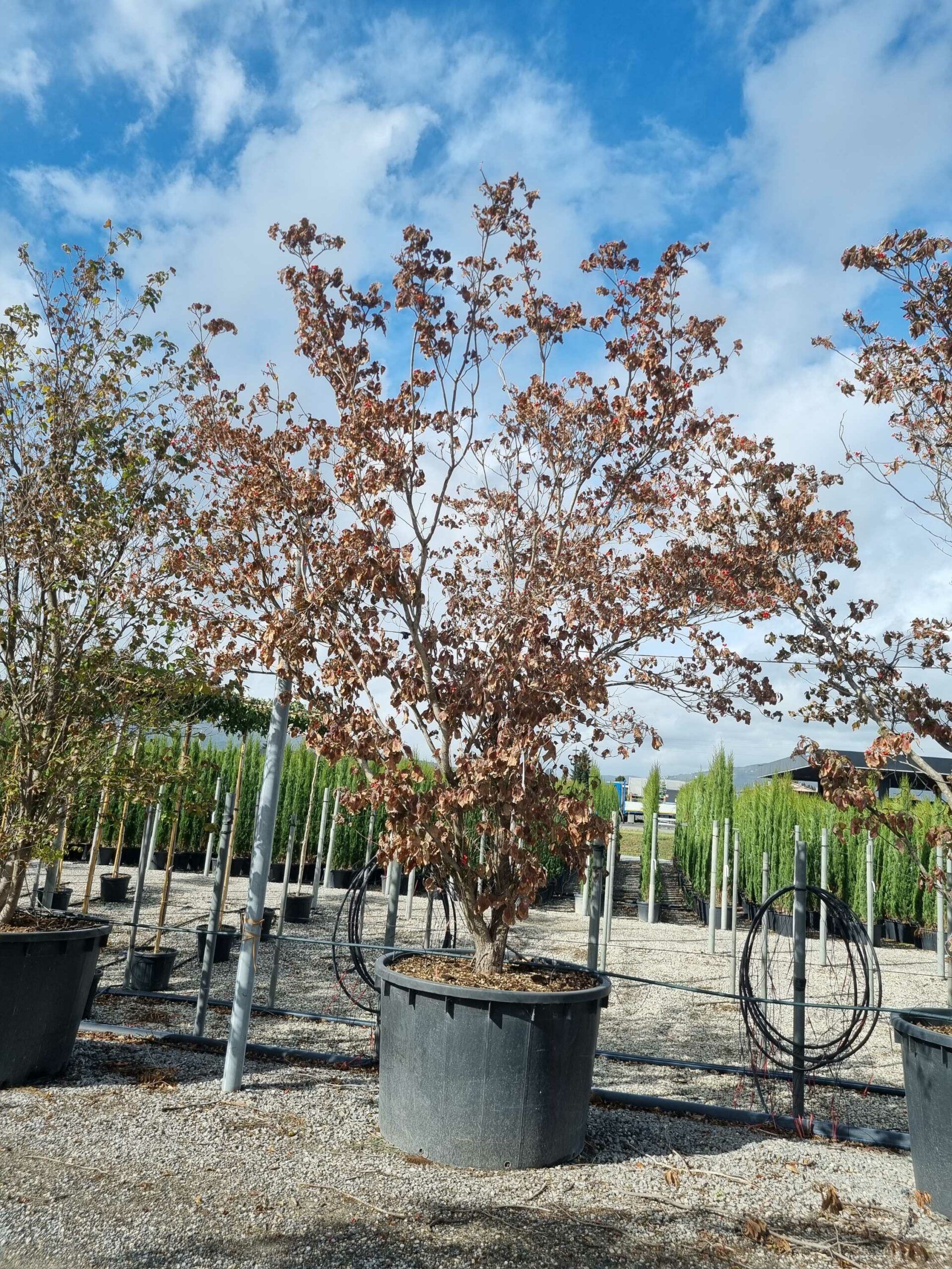 1664441726 scaled 256b2201