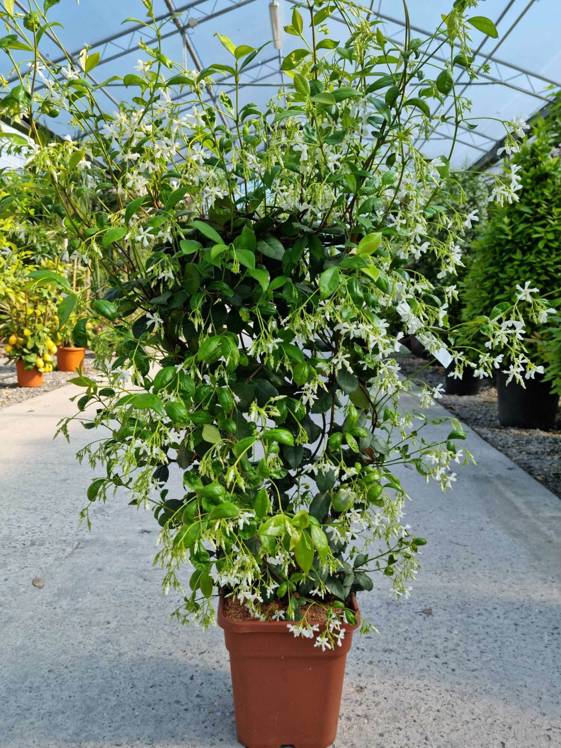 1683185900 scaled 251b1b47