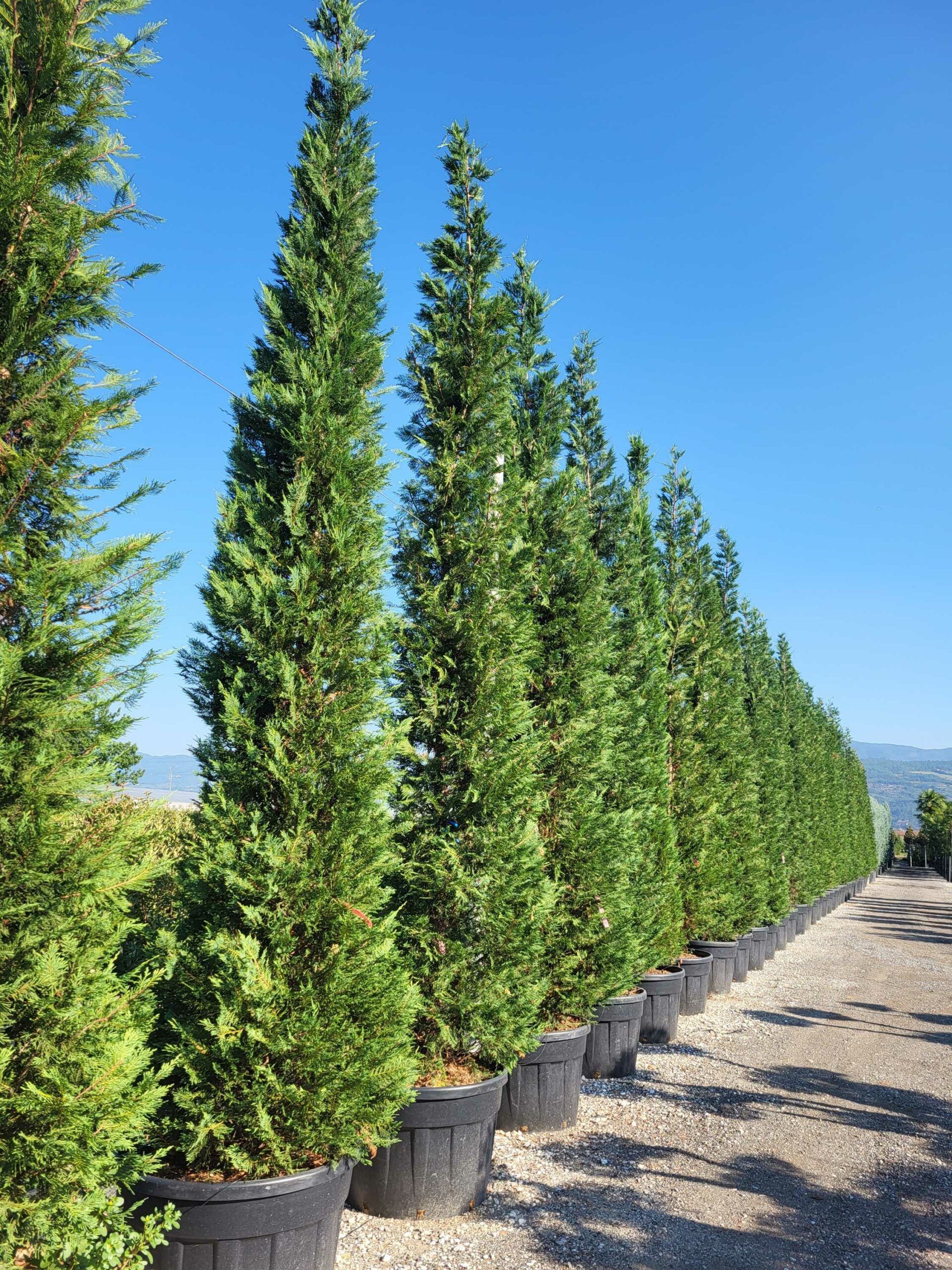 1692688502 scaled 259f13b5