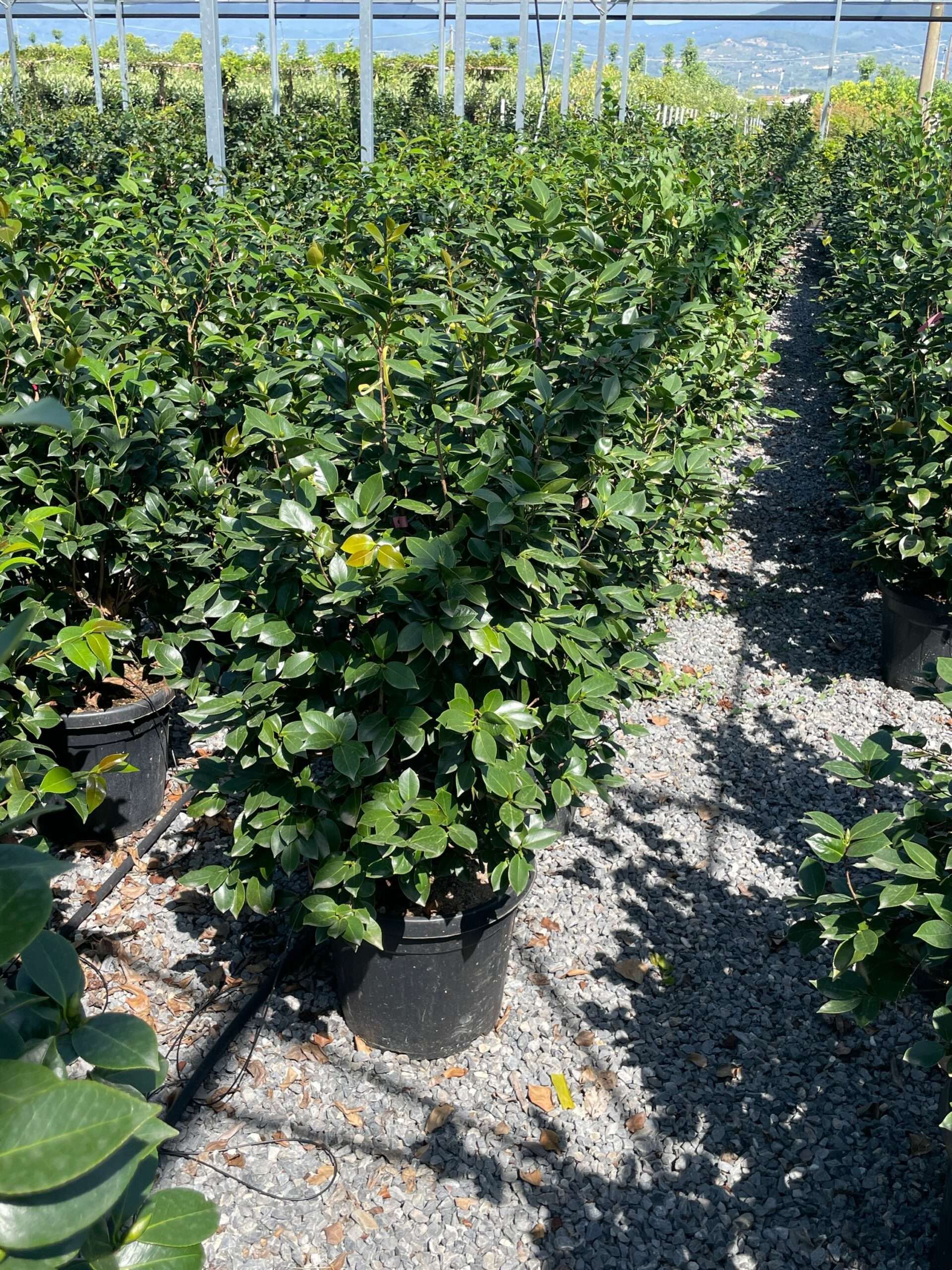 1692870951 scaled 25856a0b