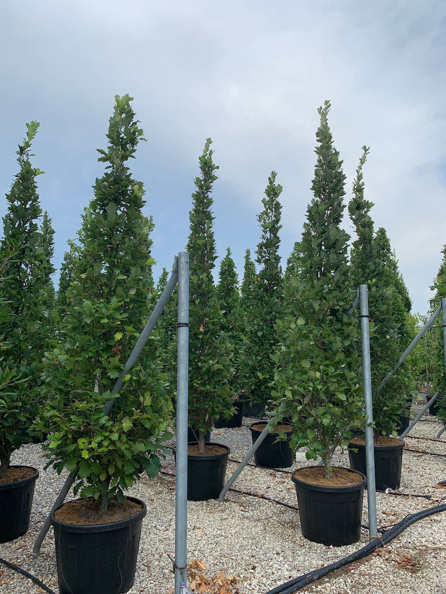 1616597695 01890a696026203800978cc2fe09de2496bec3cef9 2666e049