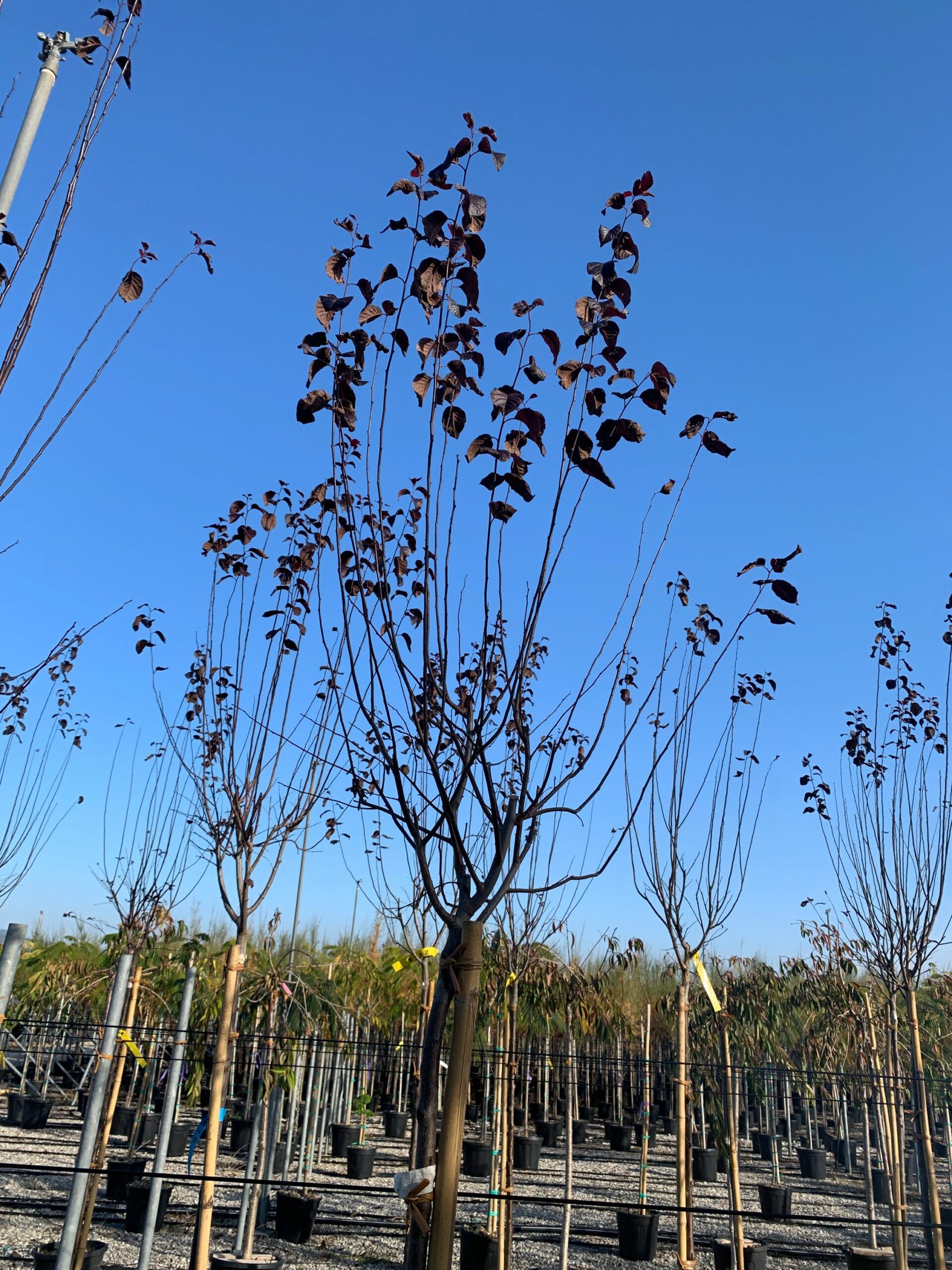 1635428908 scaled 26db6af3