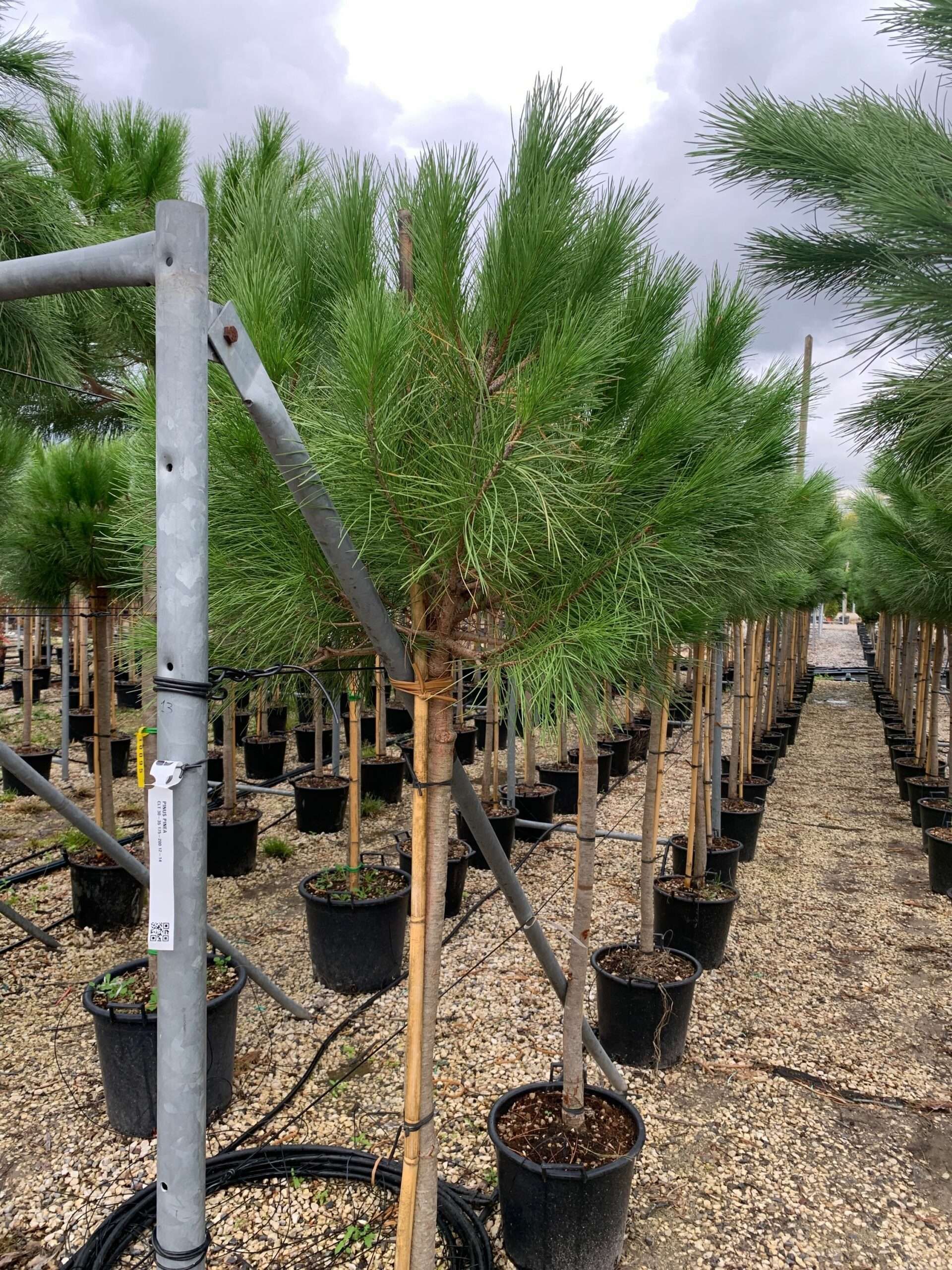 1635949492 scaled 263a952f