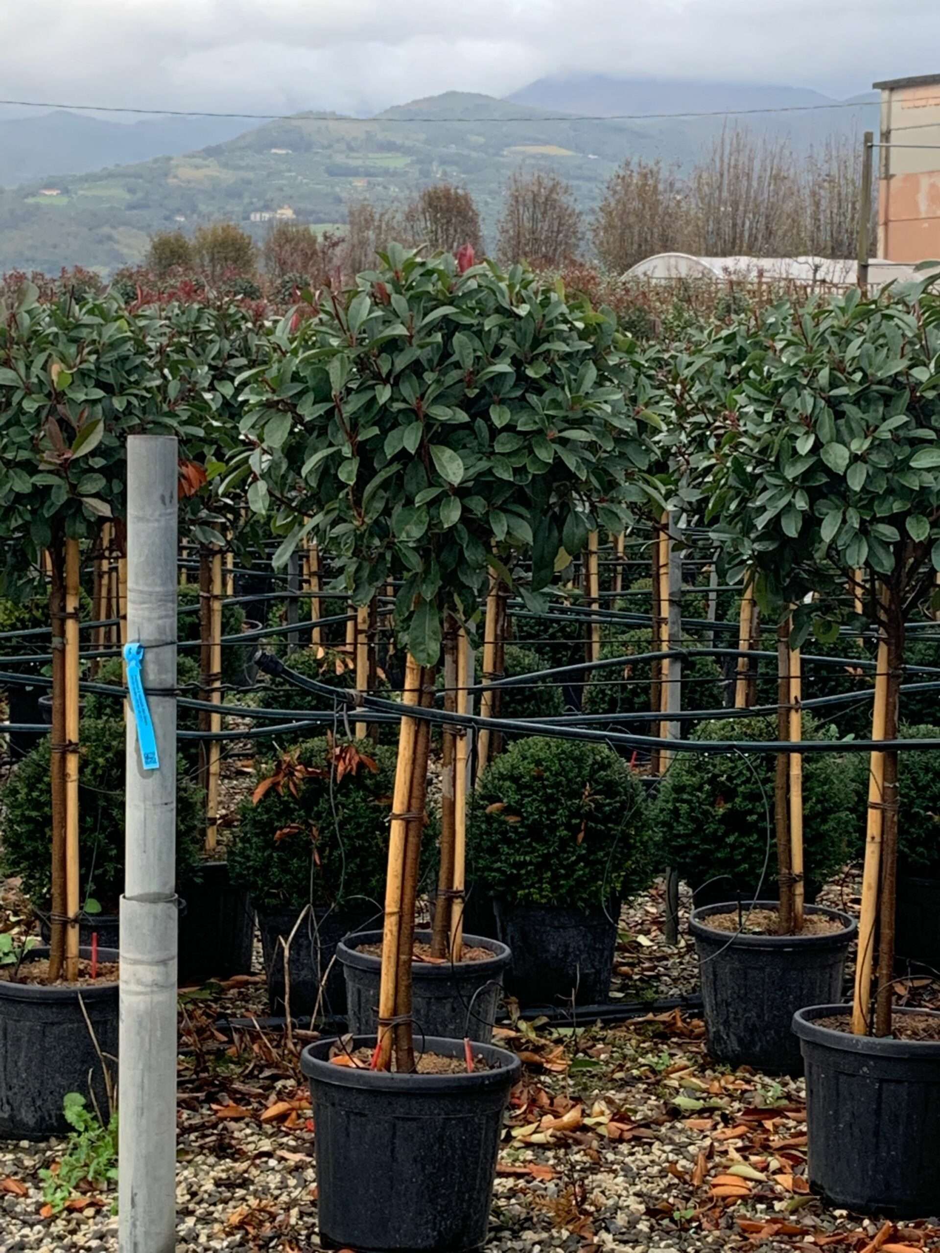 1635952191 scaled 26f78915