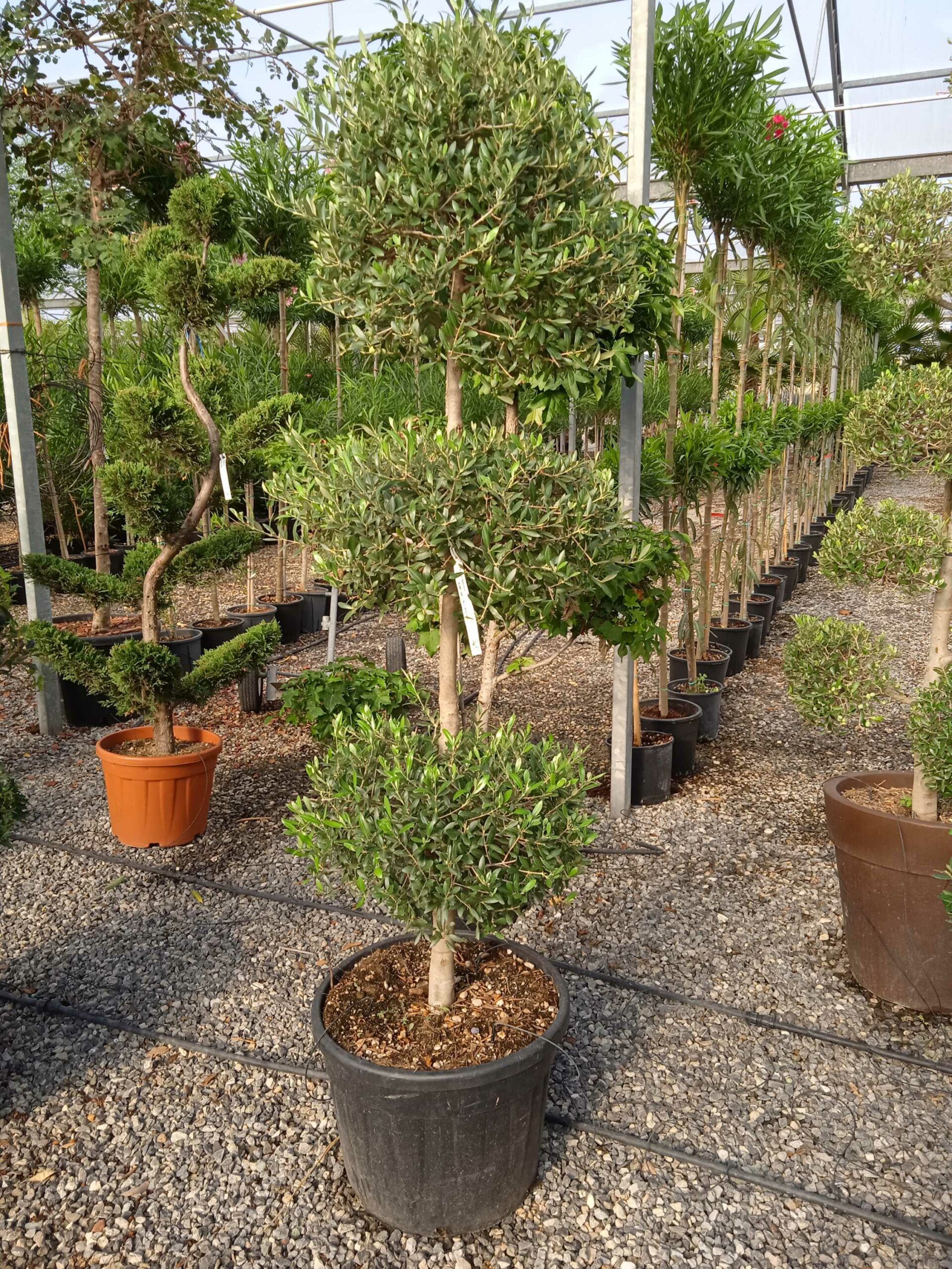 1662447788 scaled 2634791f