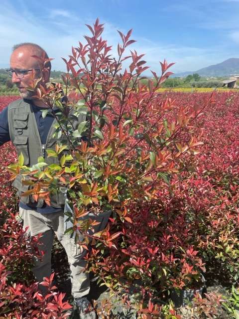 1682683276 IMG 7710 269fe92f