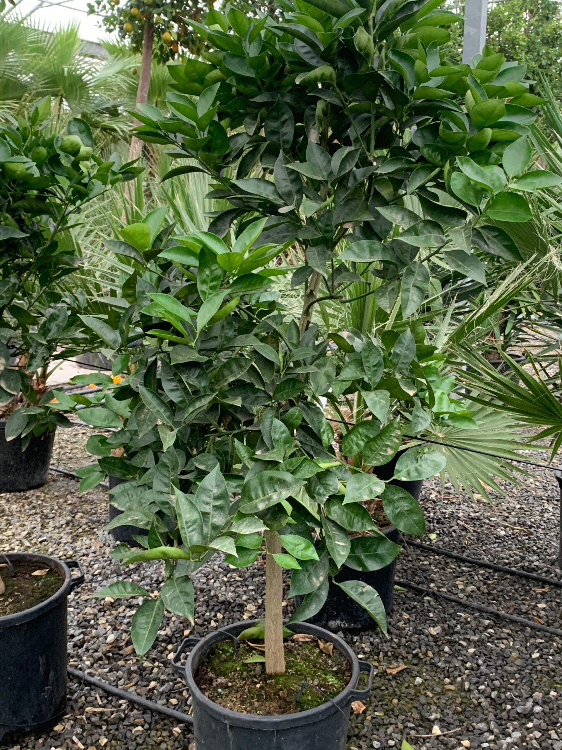 1636556869 scaled 27cdf87d