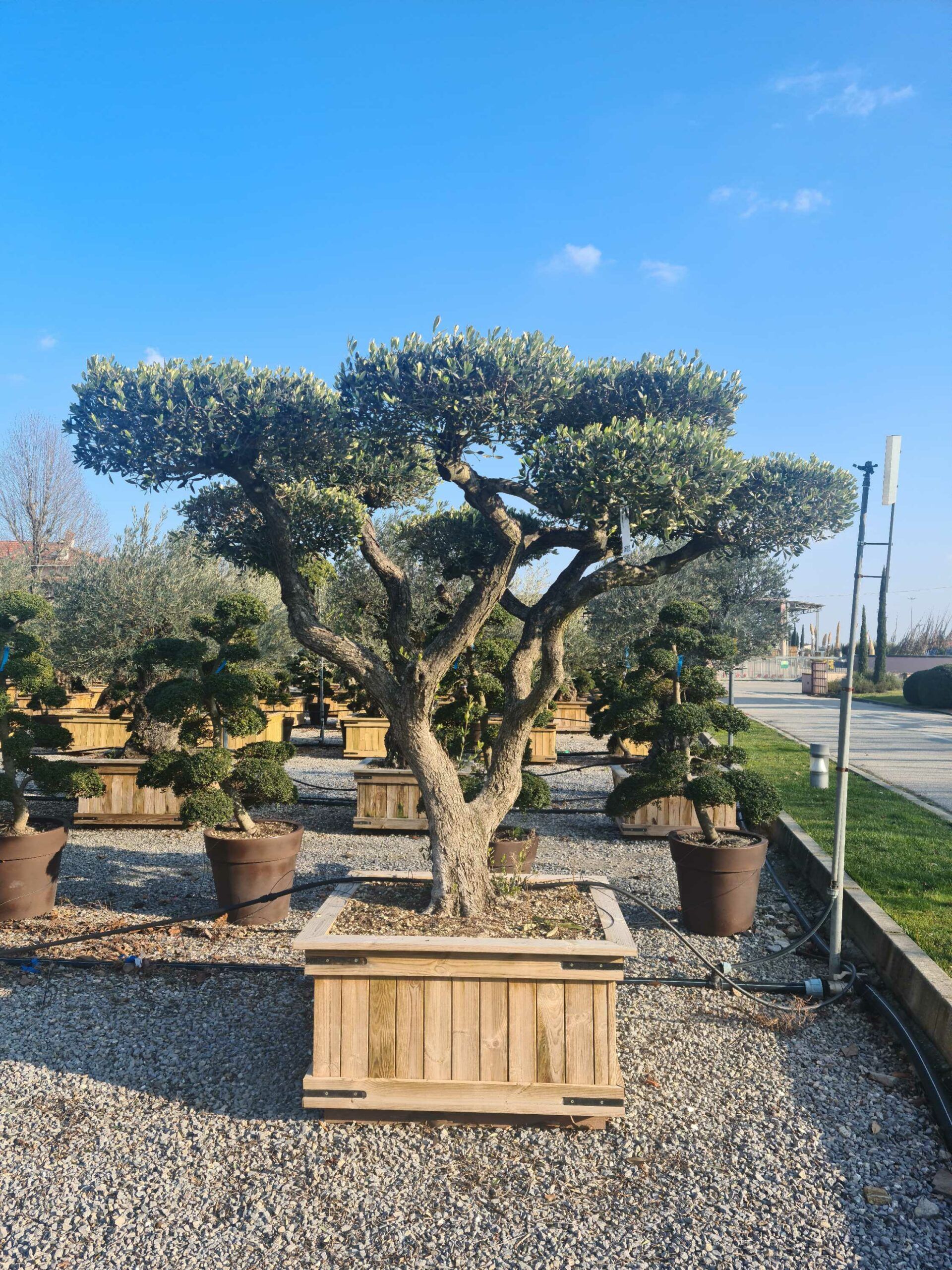 1642772190 scaled 27e7b9cd