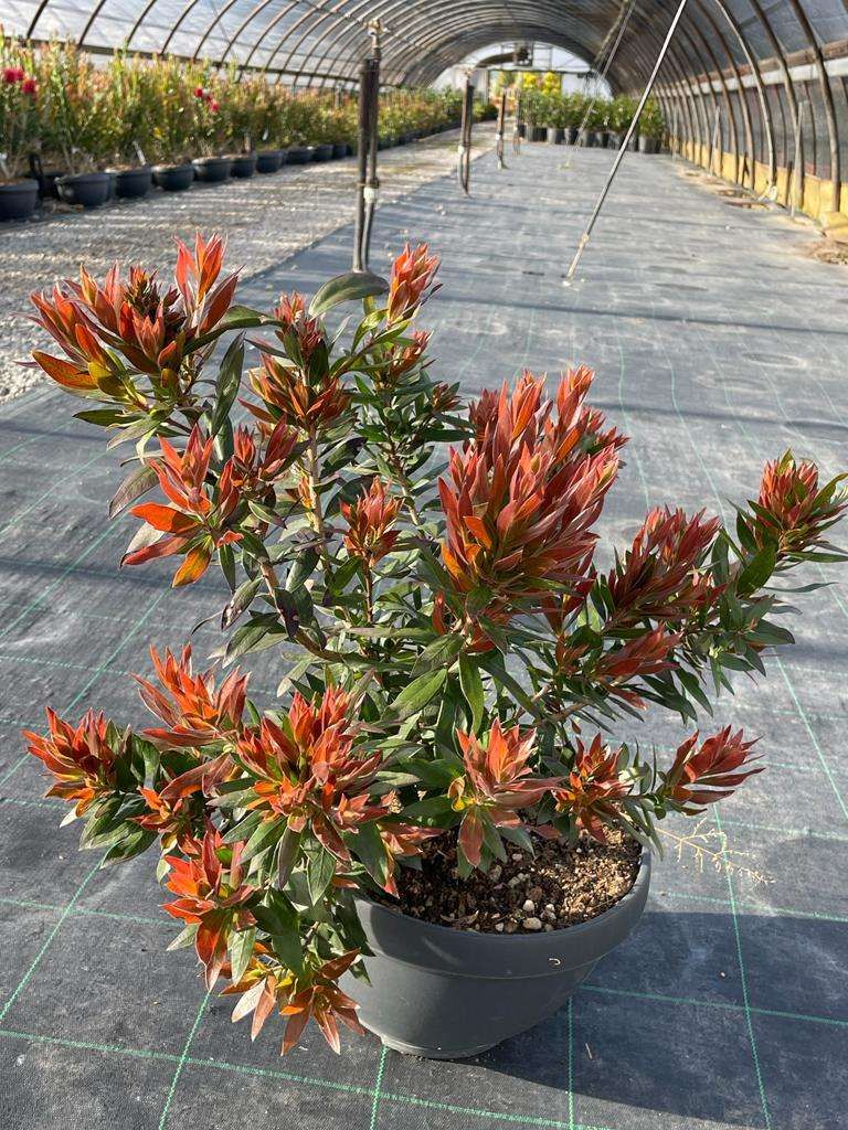 1650527104 23aa54b3 2cd6 4c48 94e8 5a1b035baa2e 274bb169