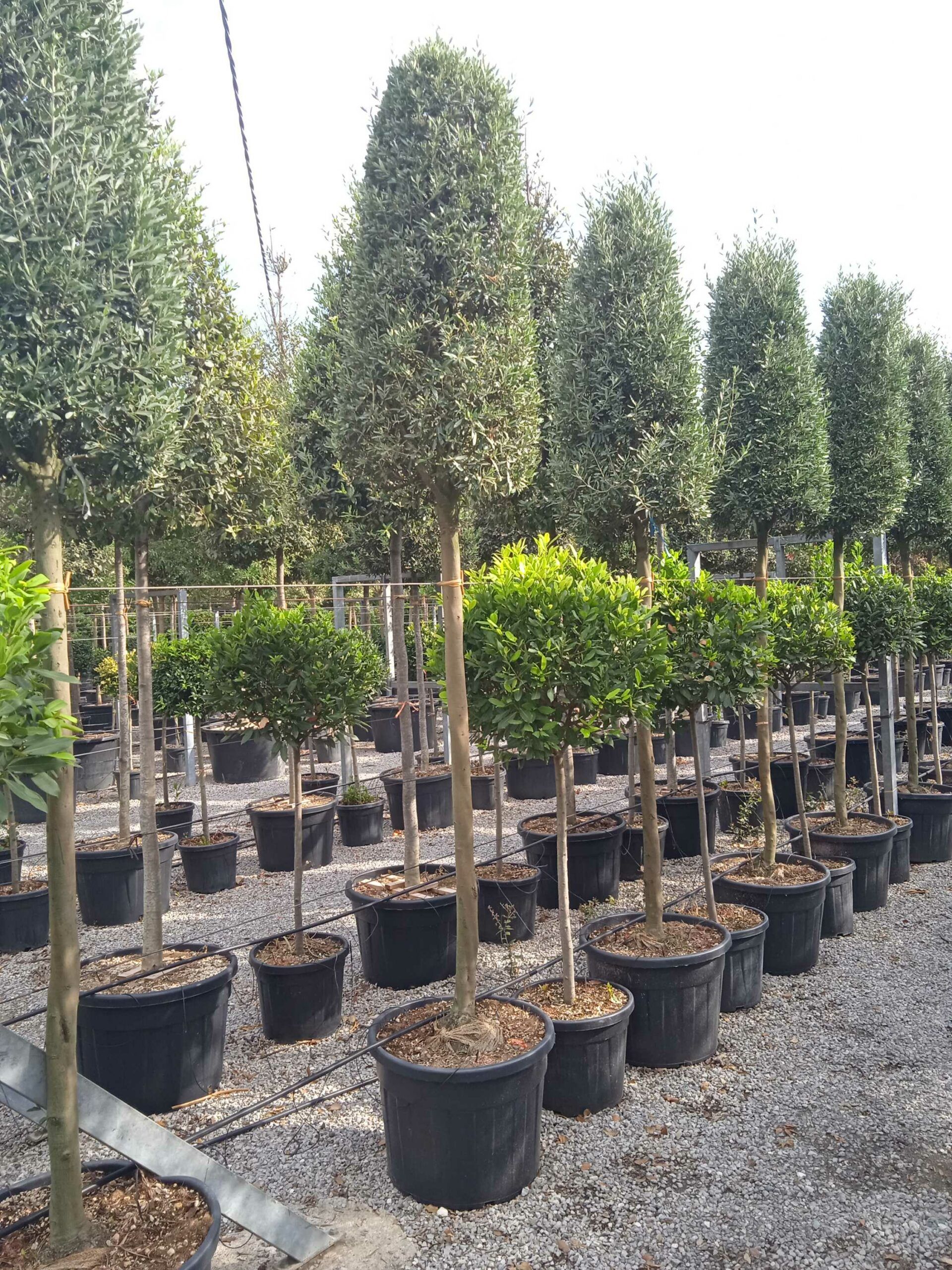 1661870612 scaled 27f274c6