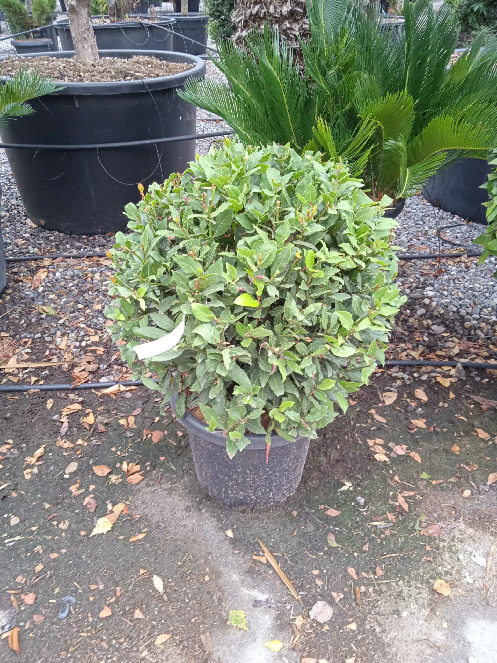 1662186236 scaled 27a22960