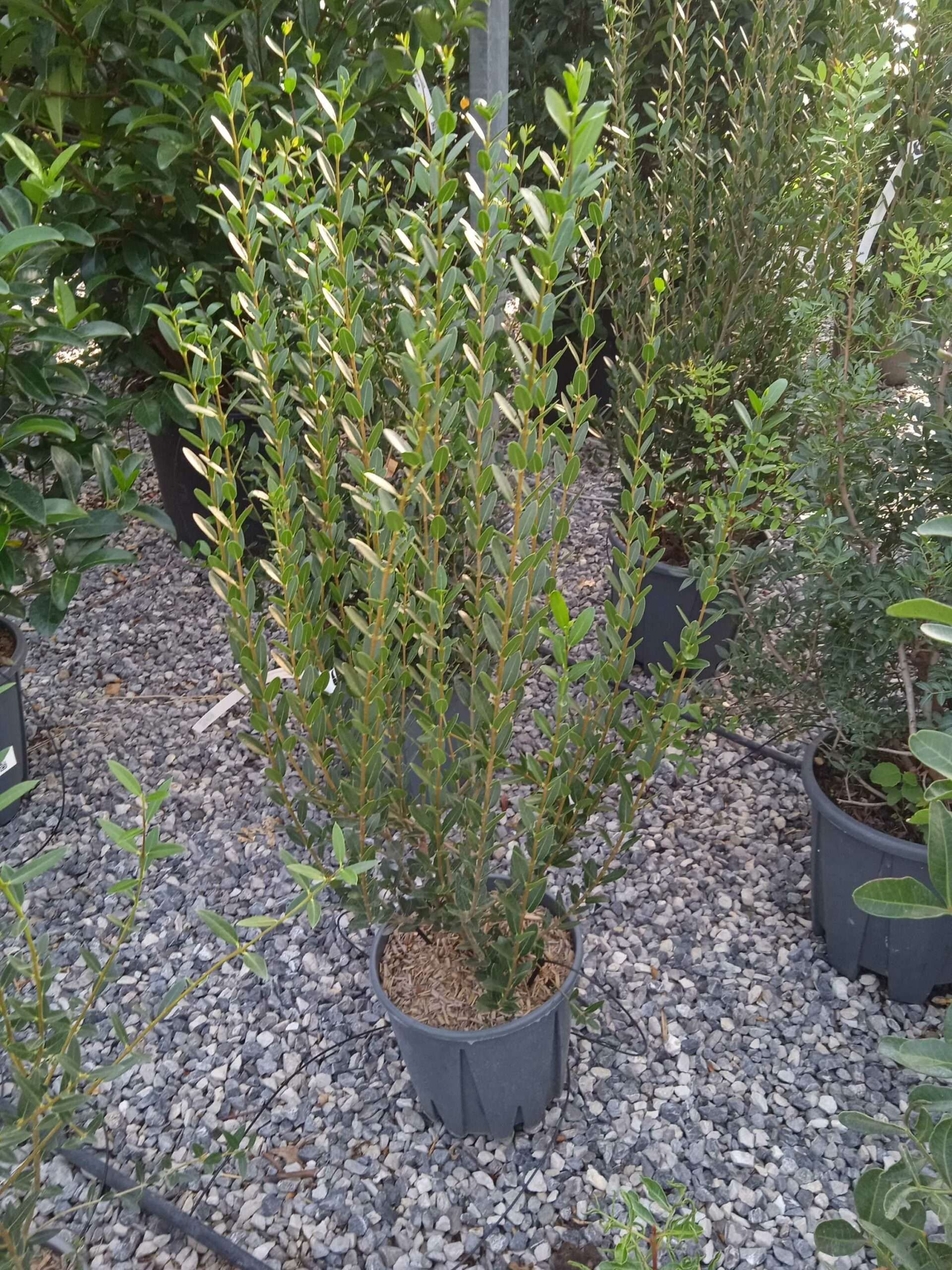 1662446953 scaled 271e6ca0