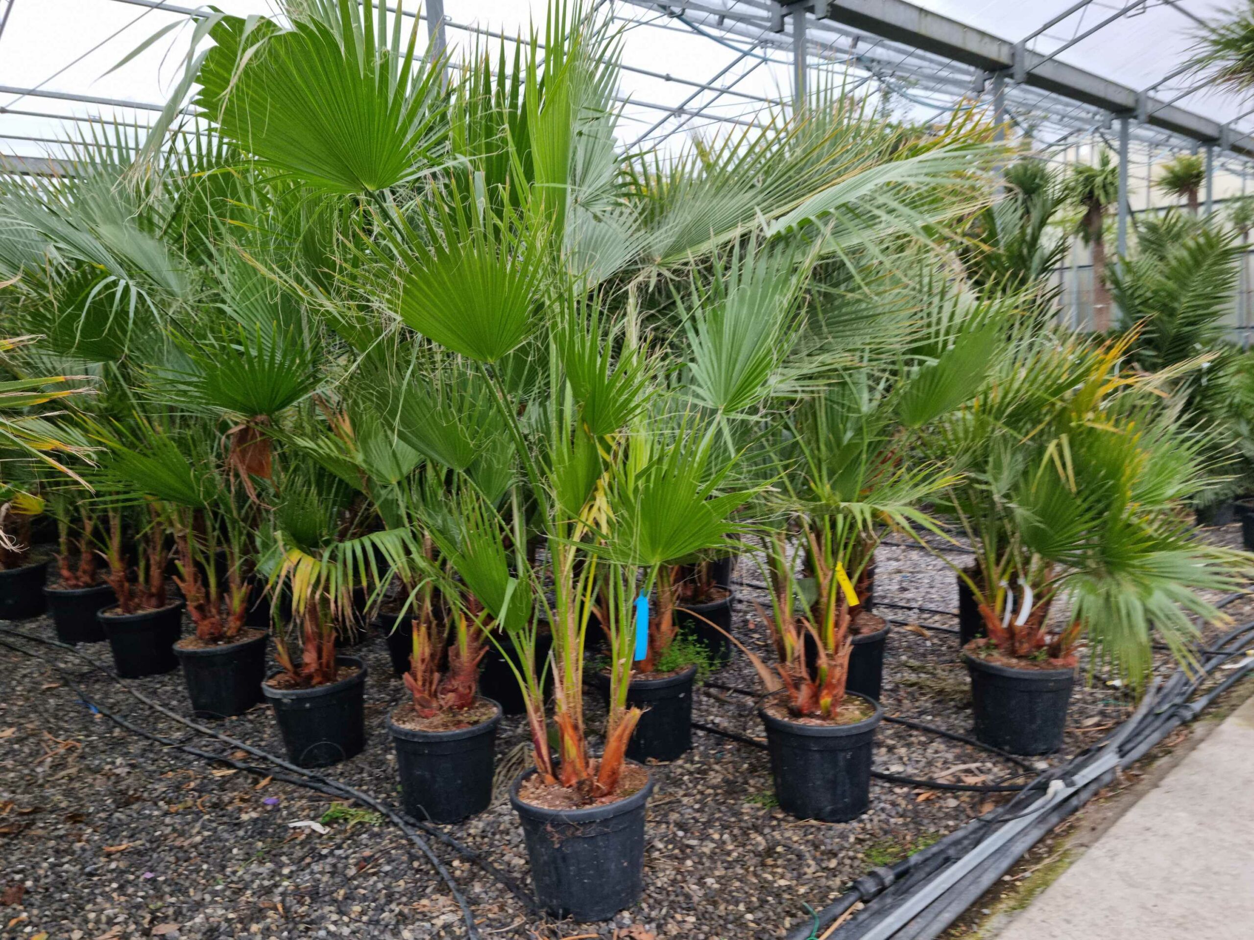 1677831067 scaled 27040efb