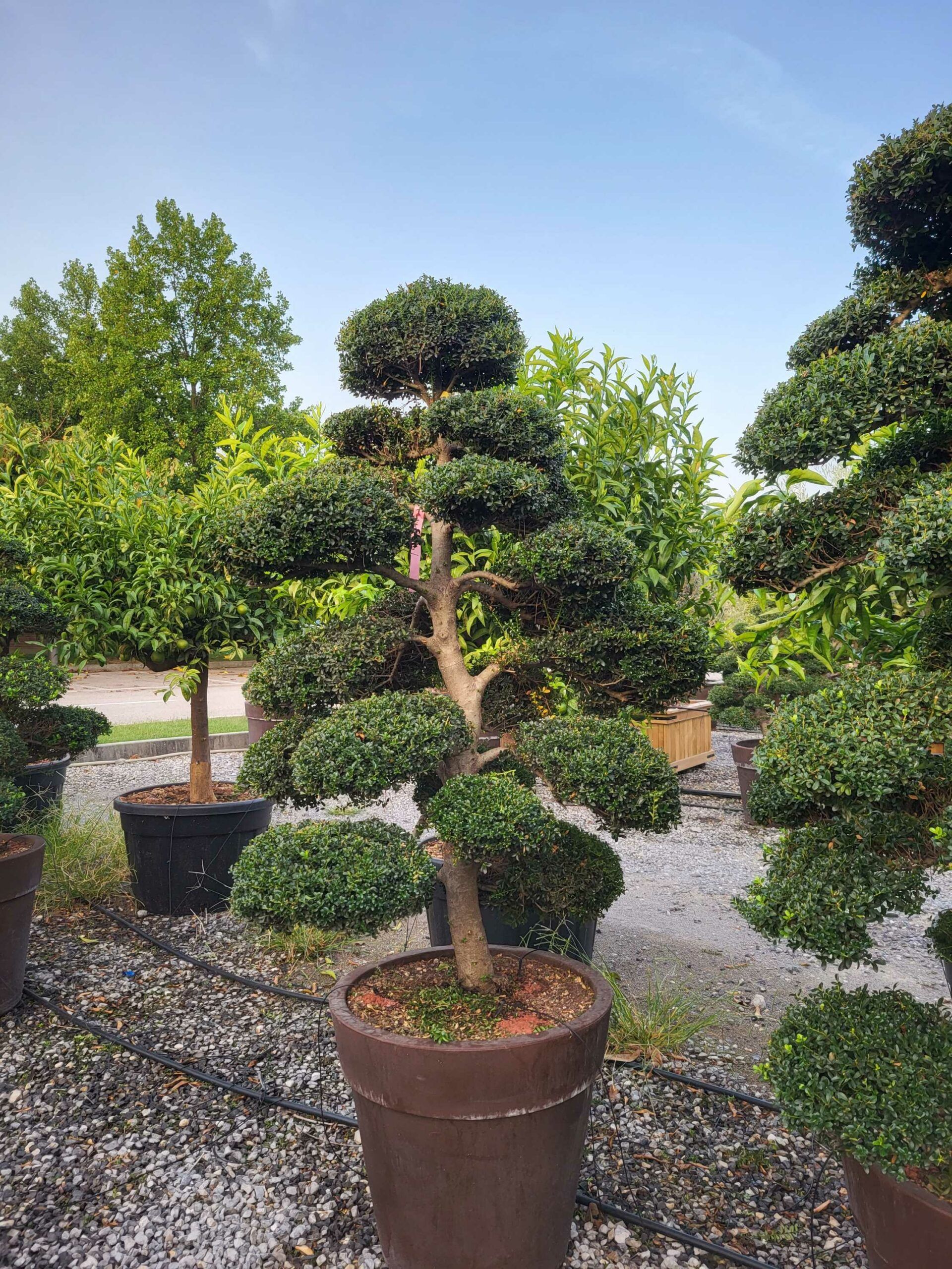 1695015187 scaled 279fd25b