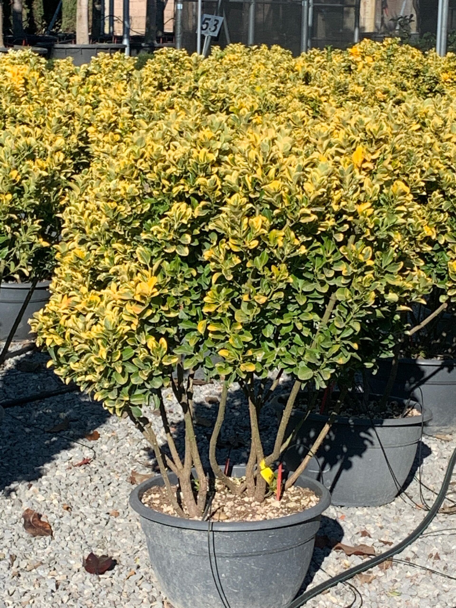 1637749066 scaled 2877c6ce