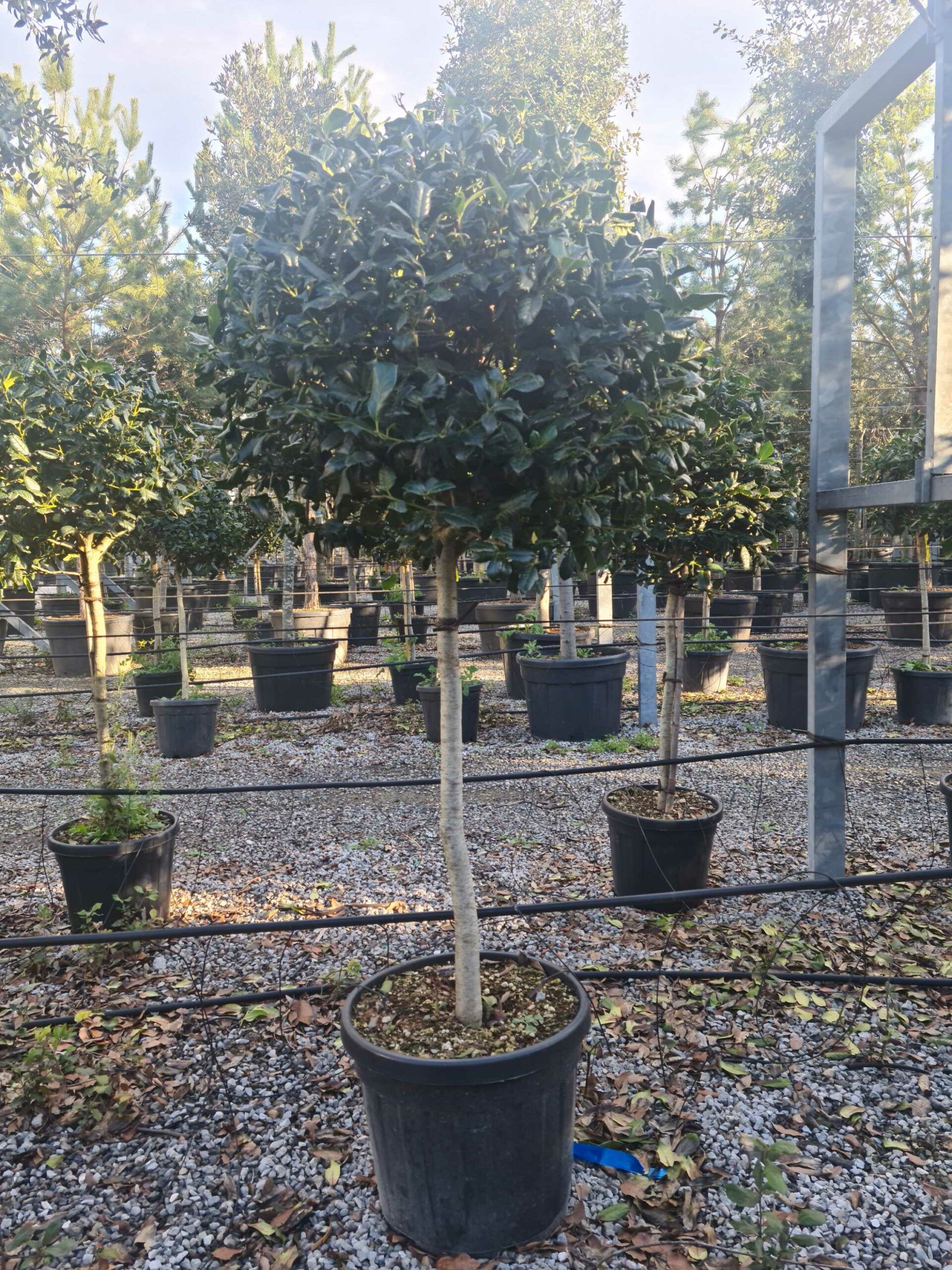 1639403578 scaled 287a94e2