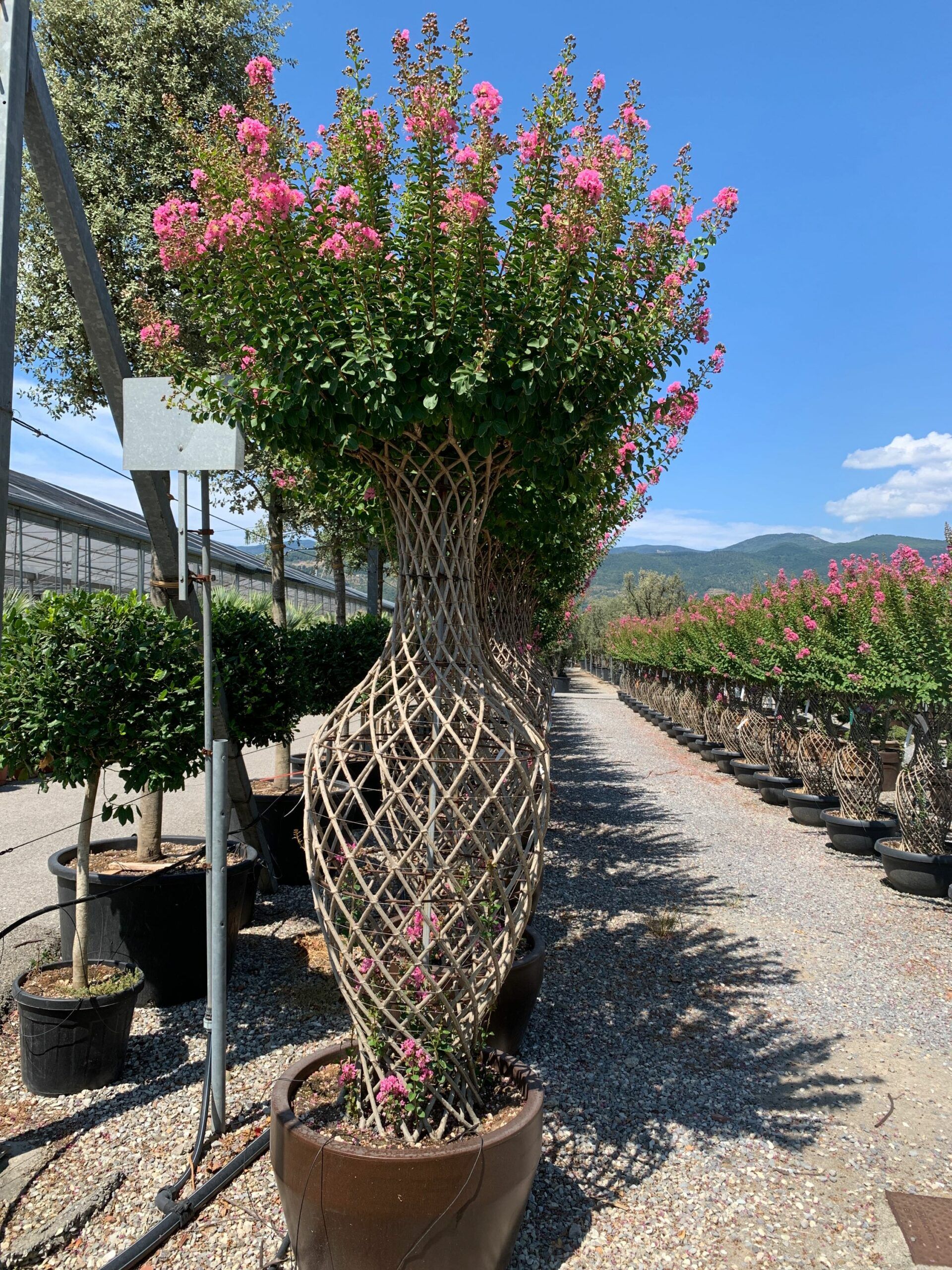 1659962957 scaled 28d3f13e