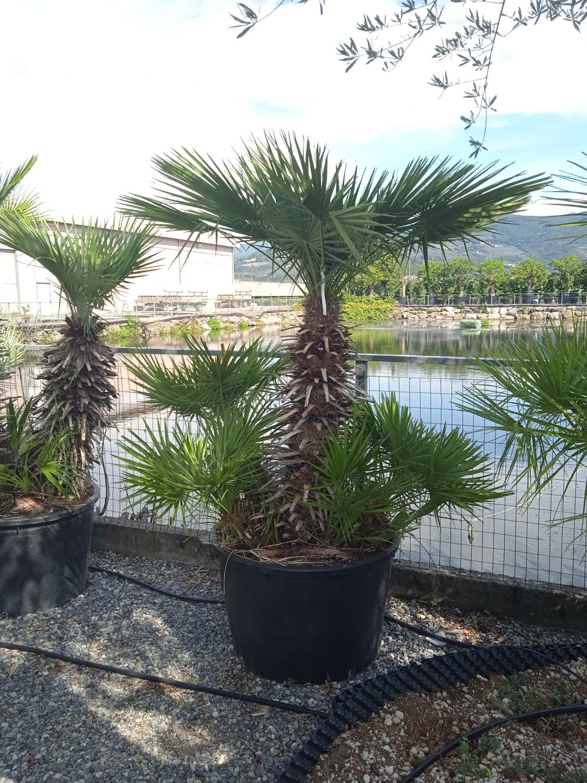 1662022802 scaled 287b25ff