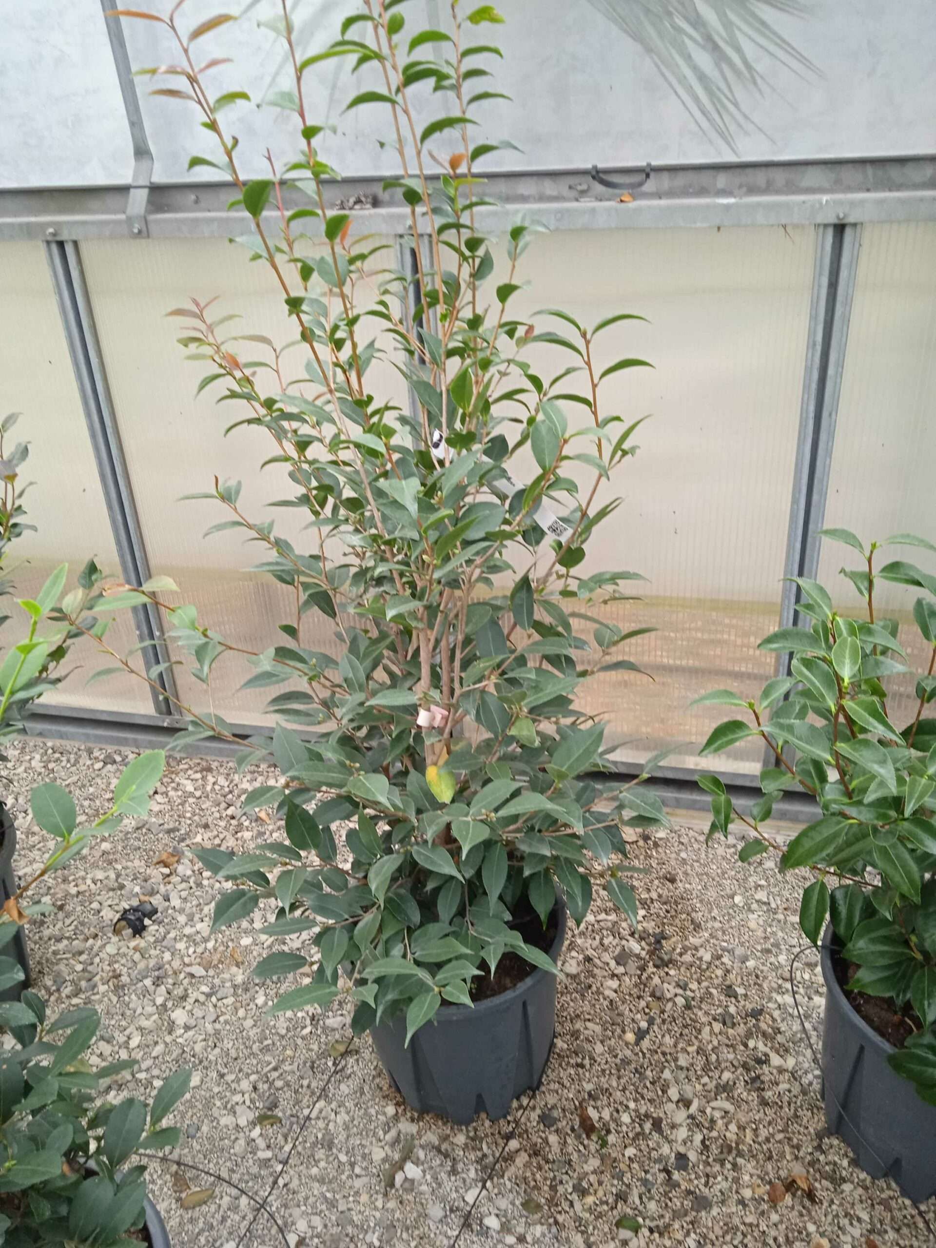 1662188995 scaled 288de56d