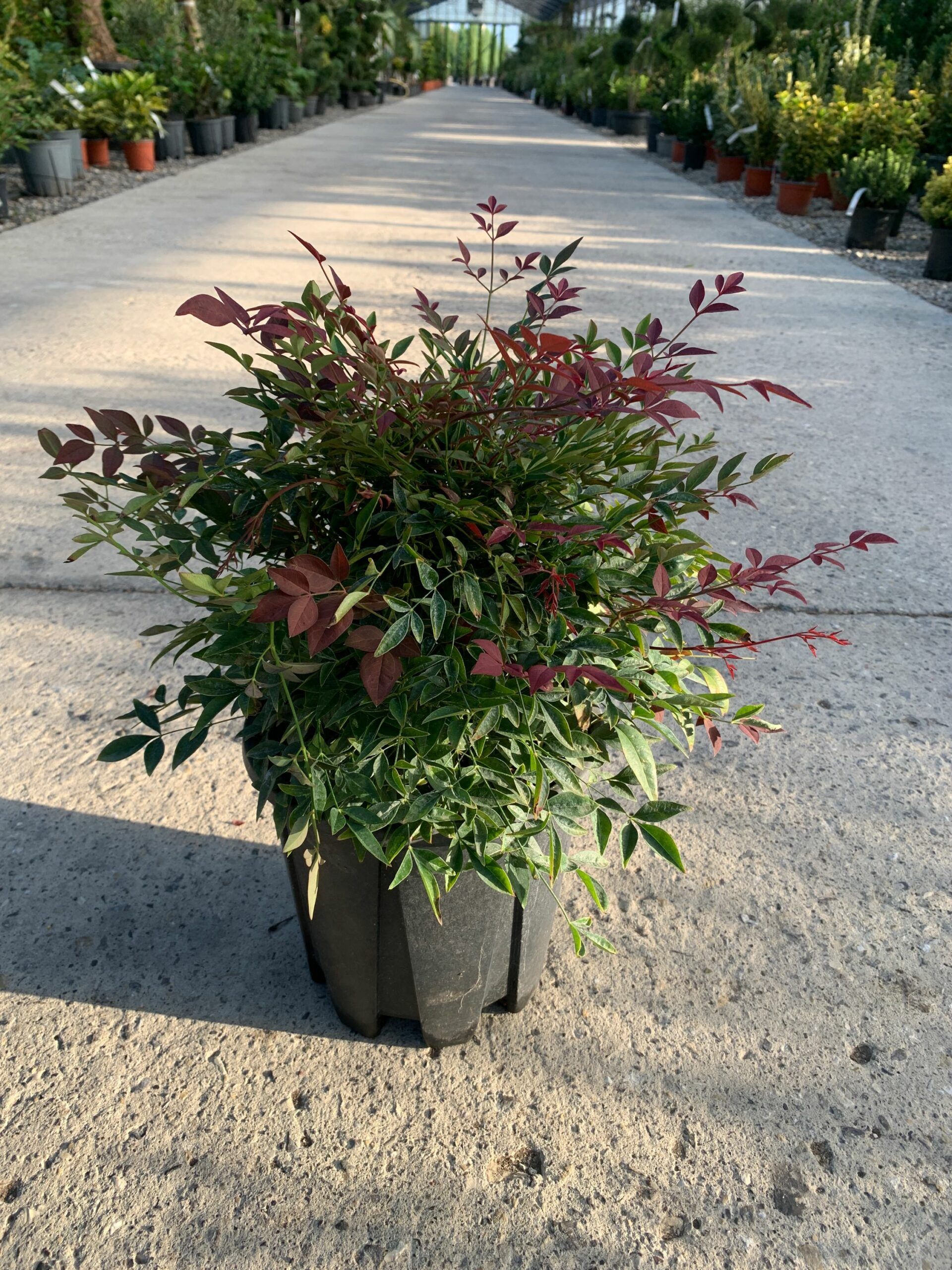 1632811145 scaled 29c96a91